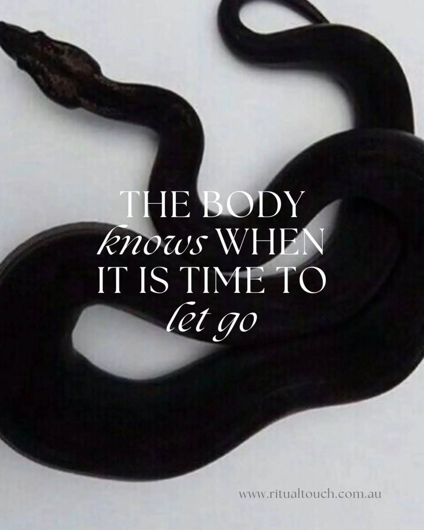 Tension softens when there is safety. Armour relaxes when there is presence and space.

What once served as protection can release its grip.

My role is to provide an environment where your body can let go at its own pace.

🤍🤍🤍

#massagebrisbane
#