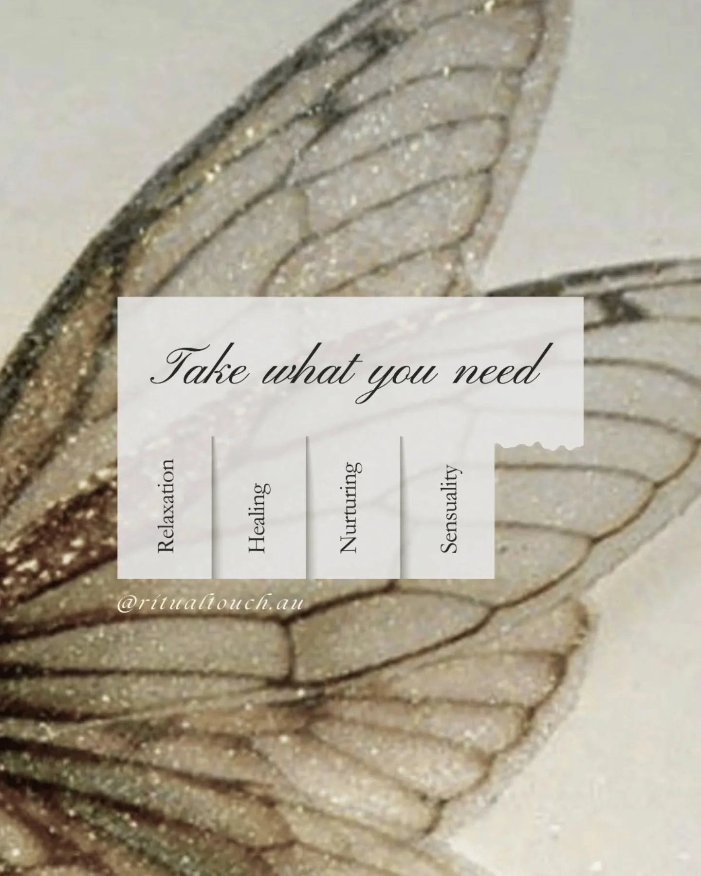 Most bodies I work with don't need more stimulation. They need permission.

🦋 To soften 
🦋 To feel
🦋 To let go
🦋 To express
🦋 To receive without expectation

What do you need more of right now? 🤍

#massagebrisbane #bodyworkbrisbane #ritualtouch