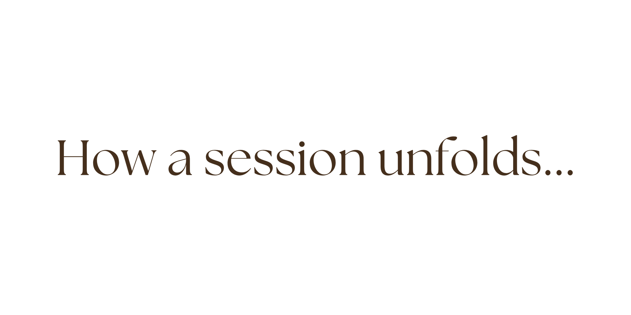 Text on a black background that reads 'How a session unfolds...'
