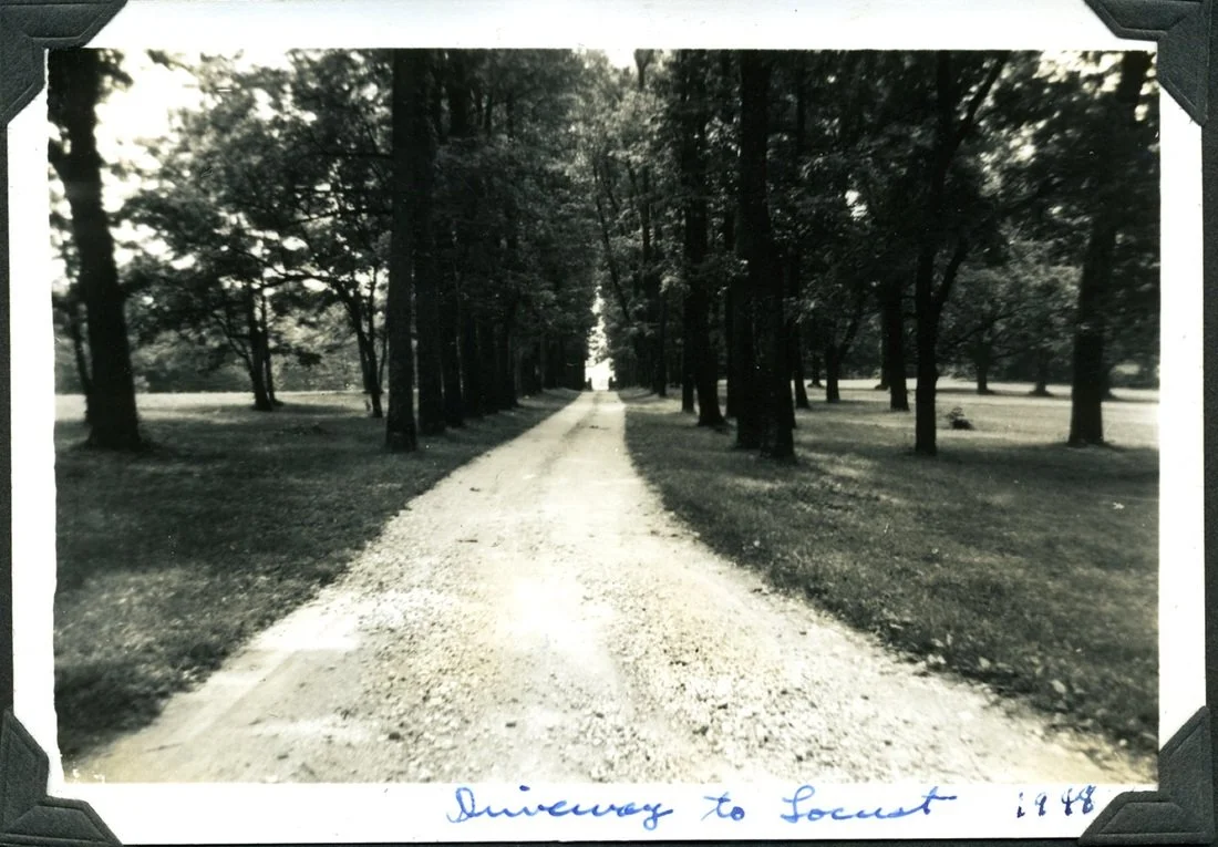 the locust dribe.jpg