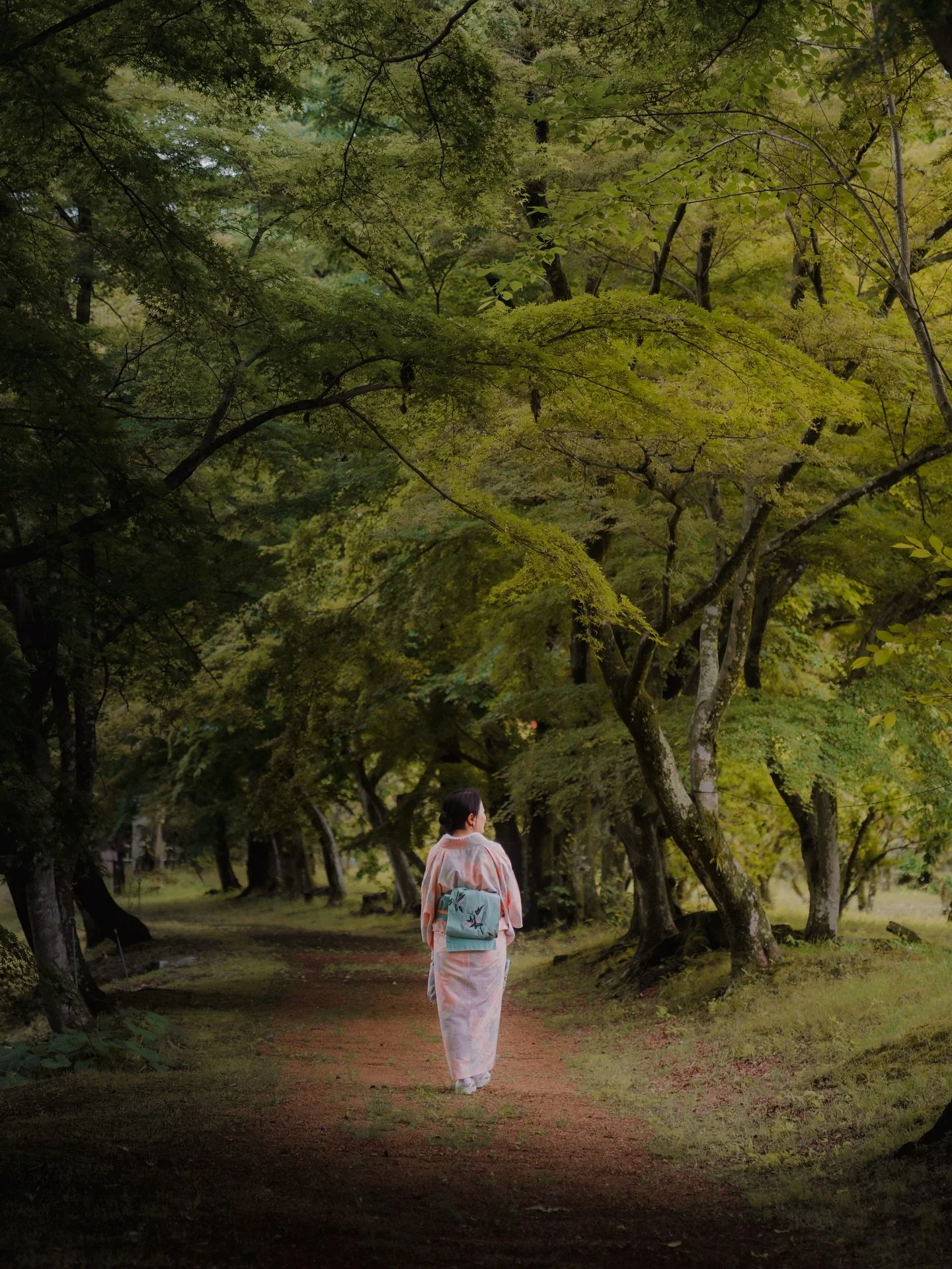 Kyoto photo dump. Can&rsquo;t believe it&rsquo;s been a week since a I came back home, all I do is daydream about going back, but next time I want to stay still in Kyoto. Has my heart.

#kyoto #kyotojapan🇯🇵 #photography #streetphotography #sonyalph