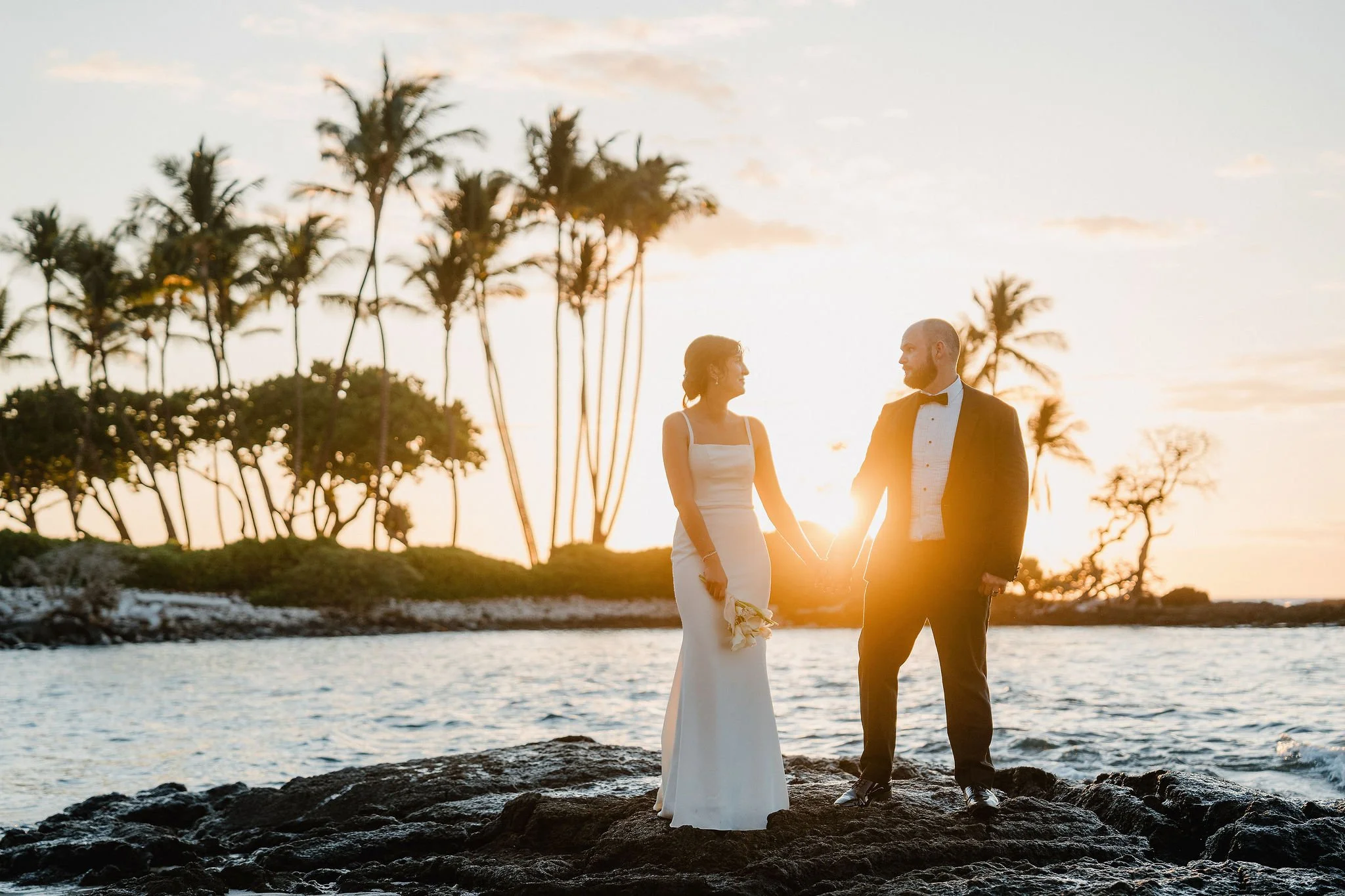 A431.jpg