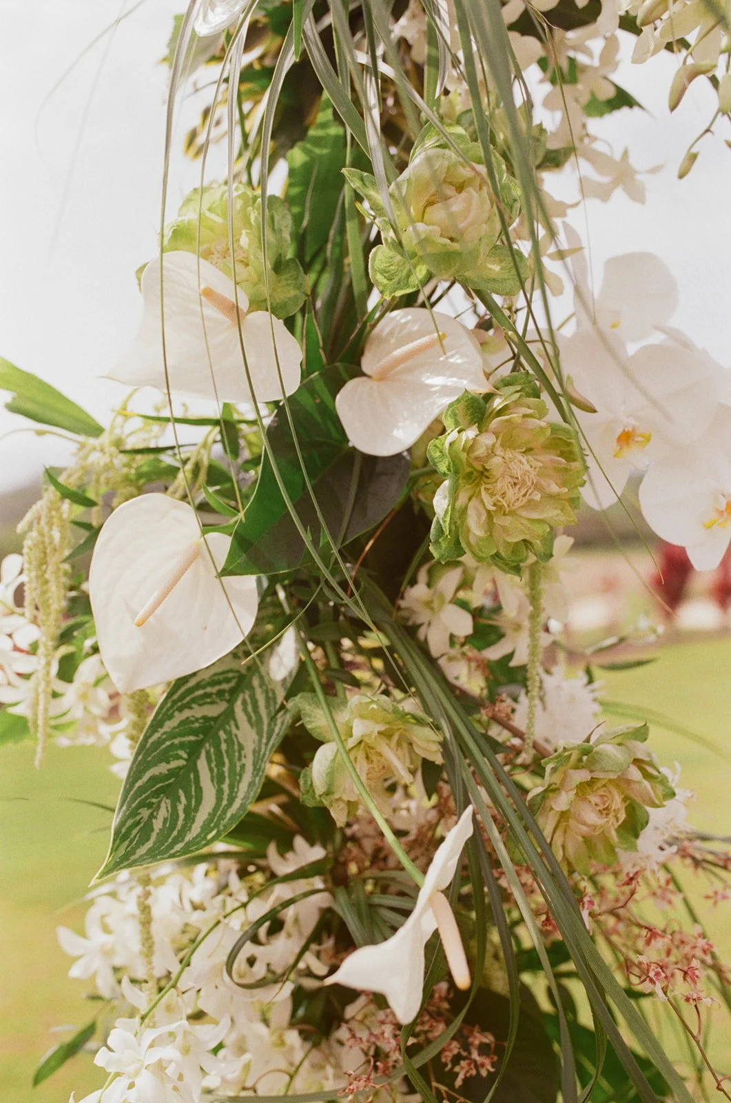 erin-oscar-hokulia-wedding-154.jpg