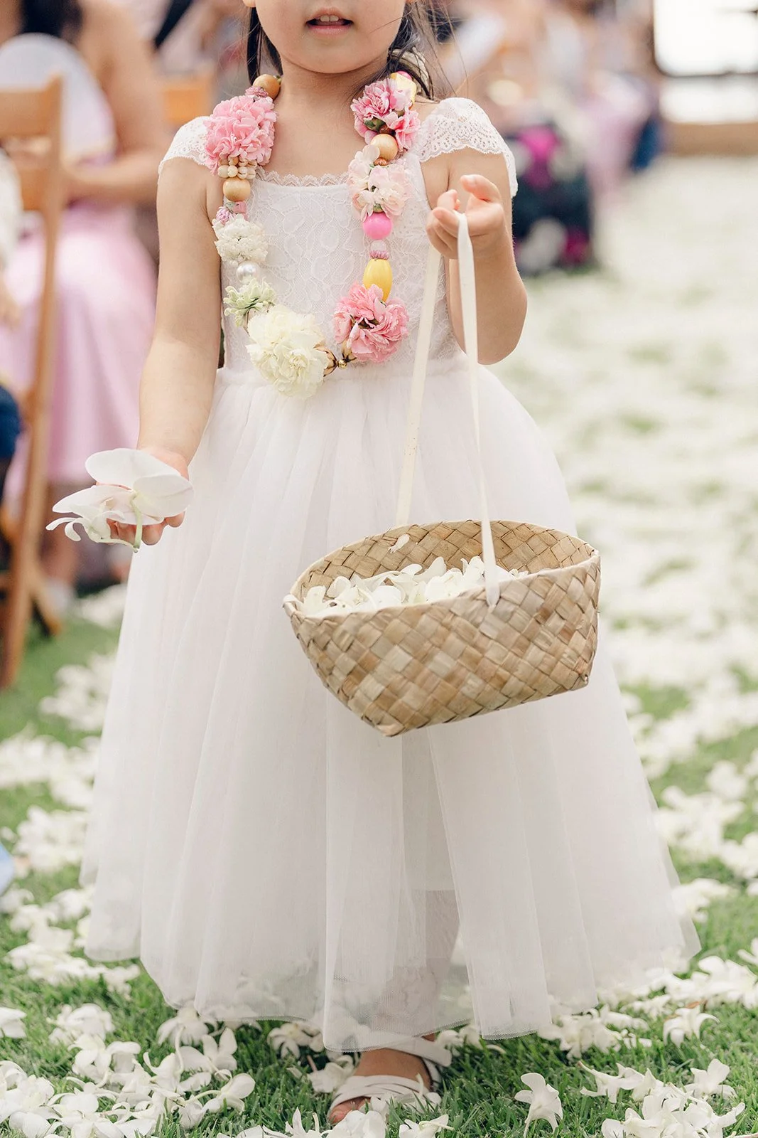 196_Highlights-_MMB6659.jpg