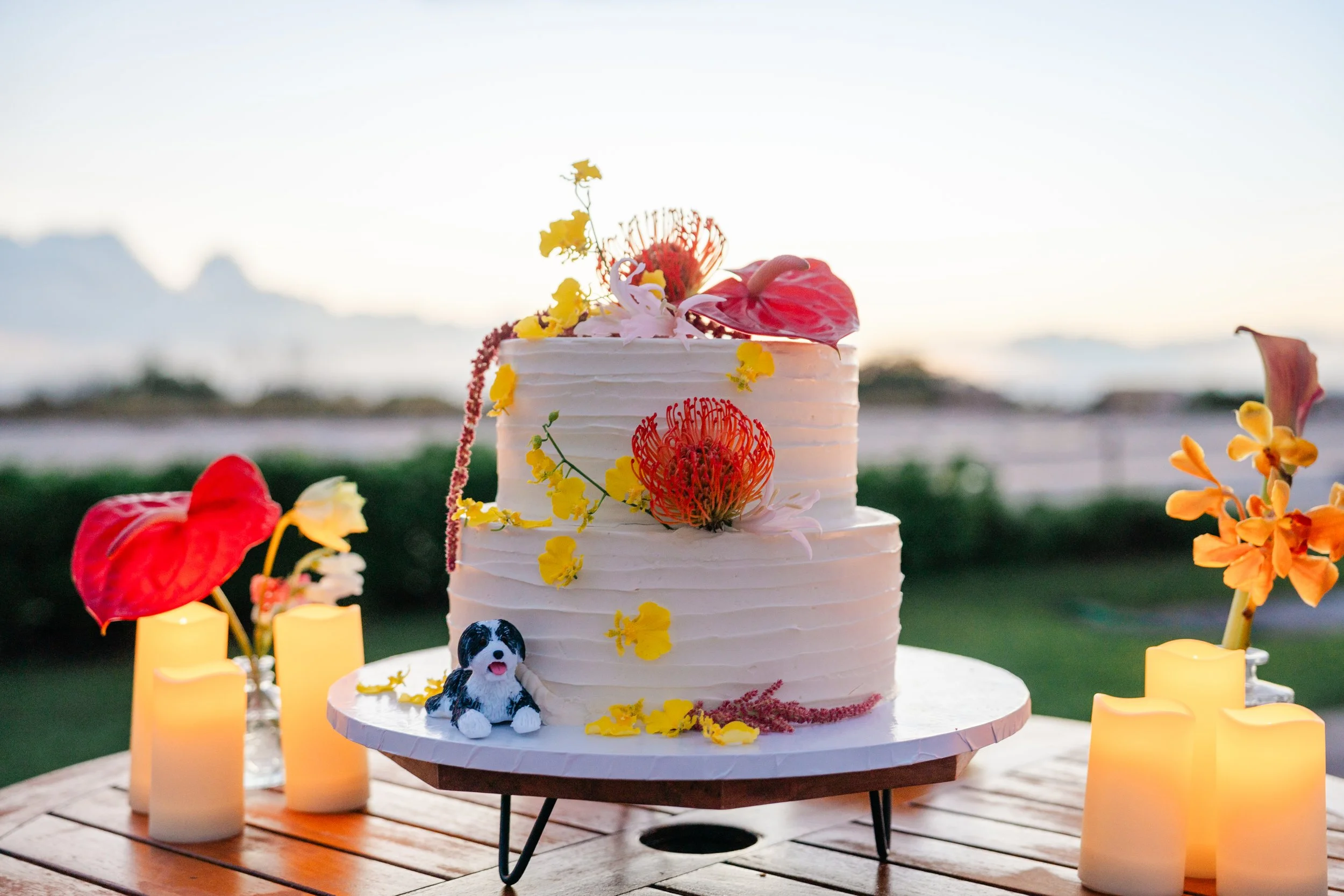 Shea&Anurag-372 copy.JPG