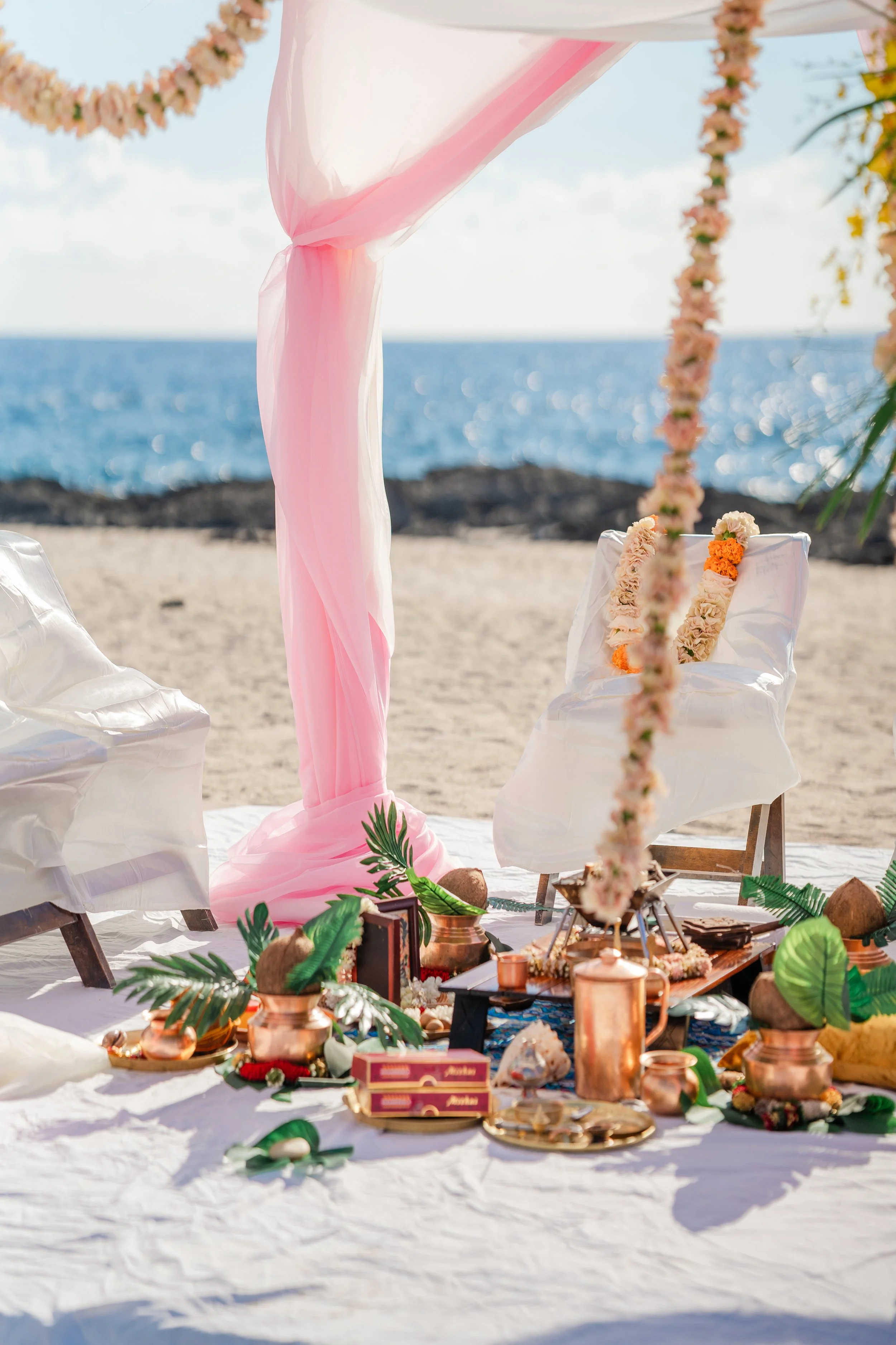 Shea&Anurag-87 copy.JPG