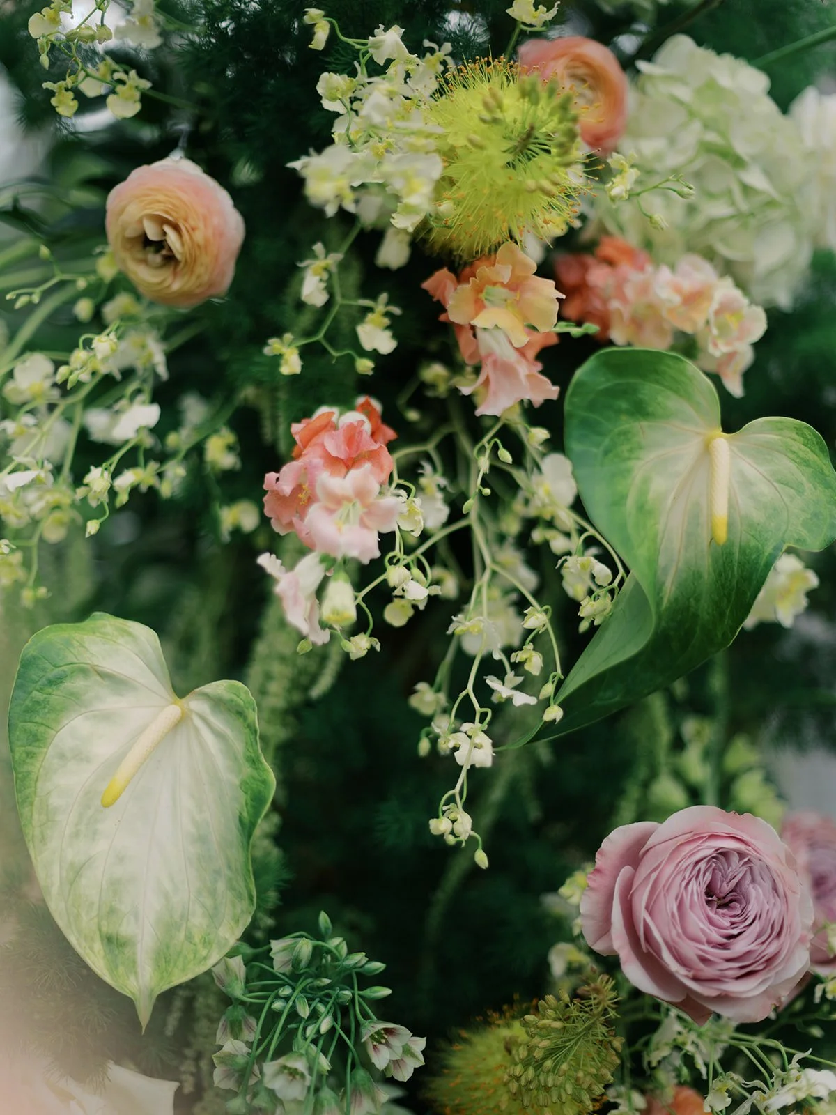 lucas-emilee-pahoa-wedding-41.jpg