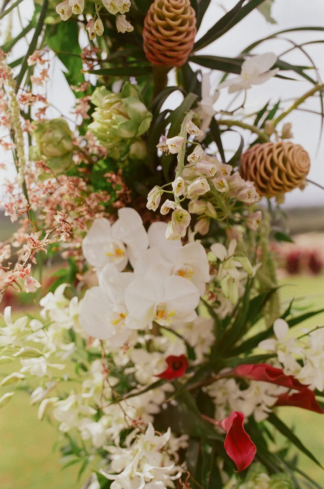 erin-oscar-hokulia-wedding-162.jpg
