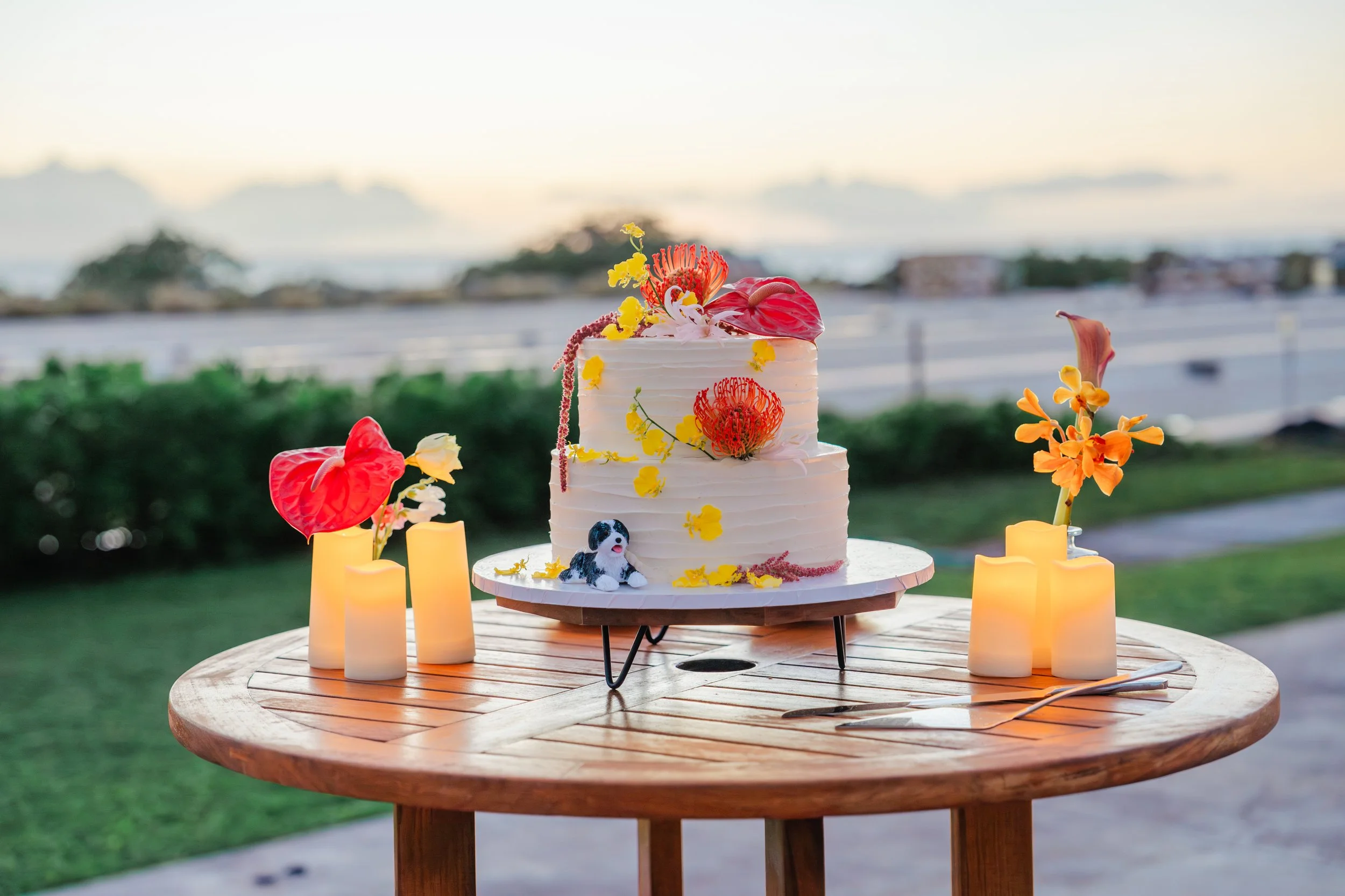 Shea&Anurag-376 copy.JPG