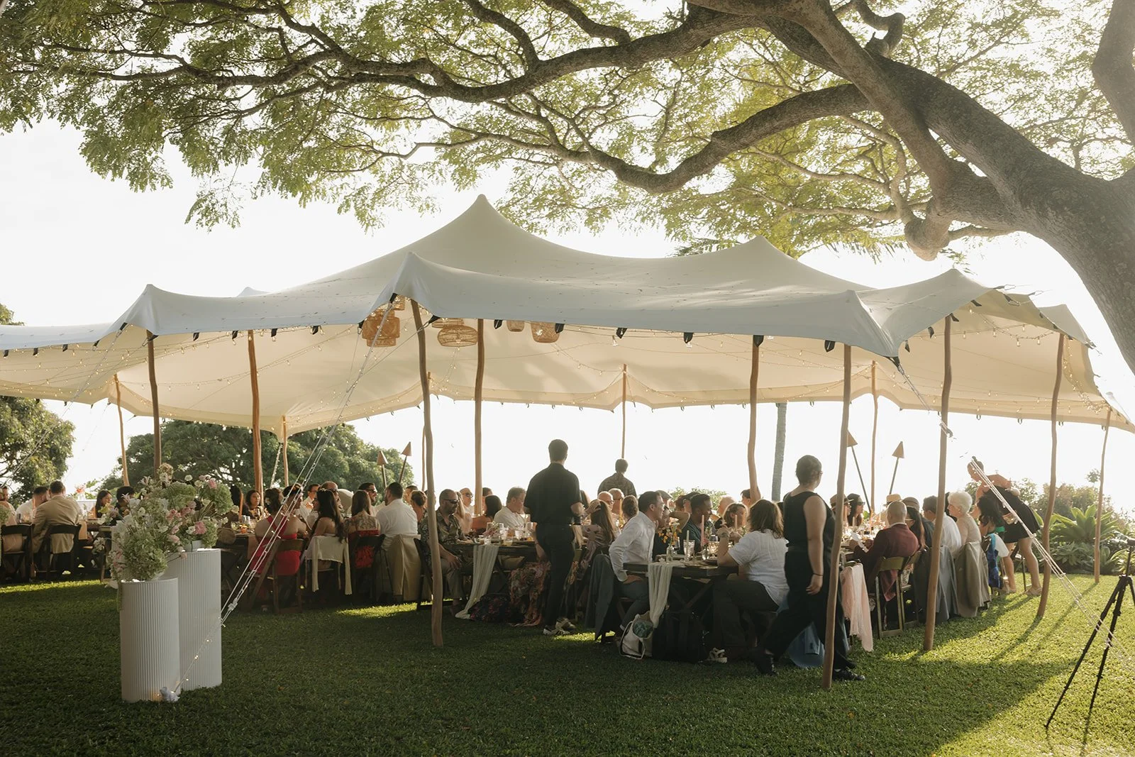 sam-and-rob-big-island-hawaii-kona-wedding-weekend-holualoa-inn-874.jpg