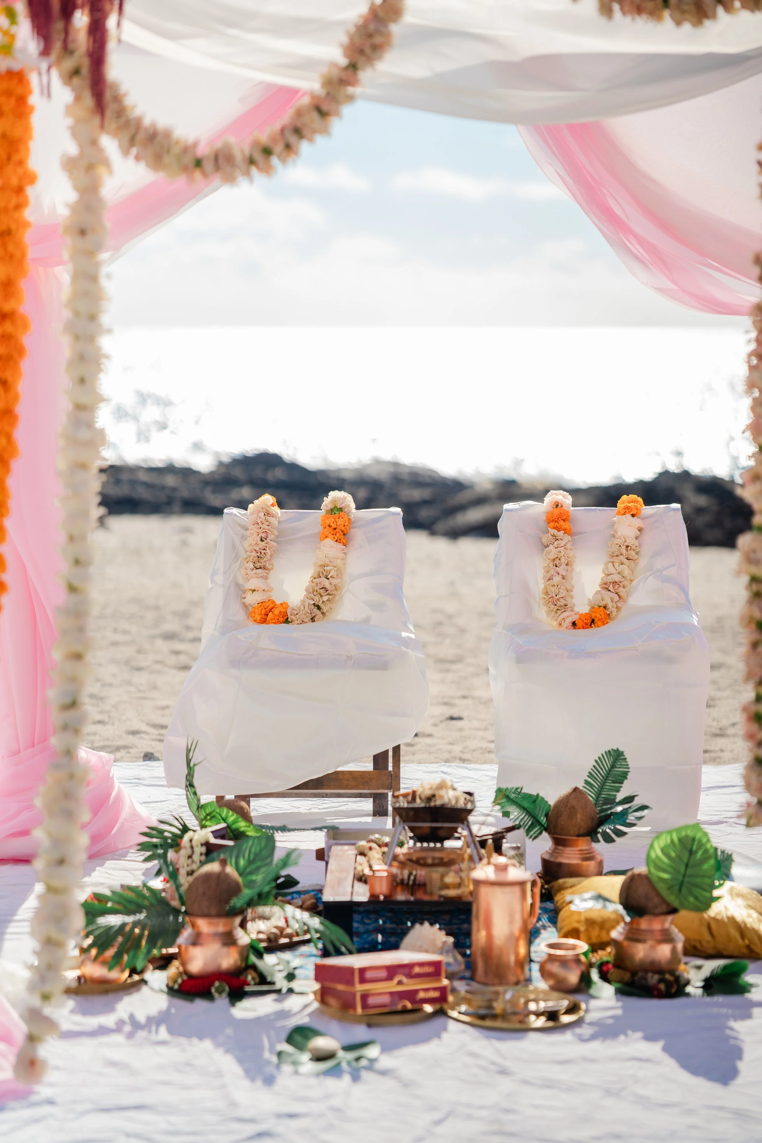 Shea&Anurag-83 copy.JPG