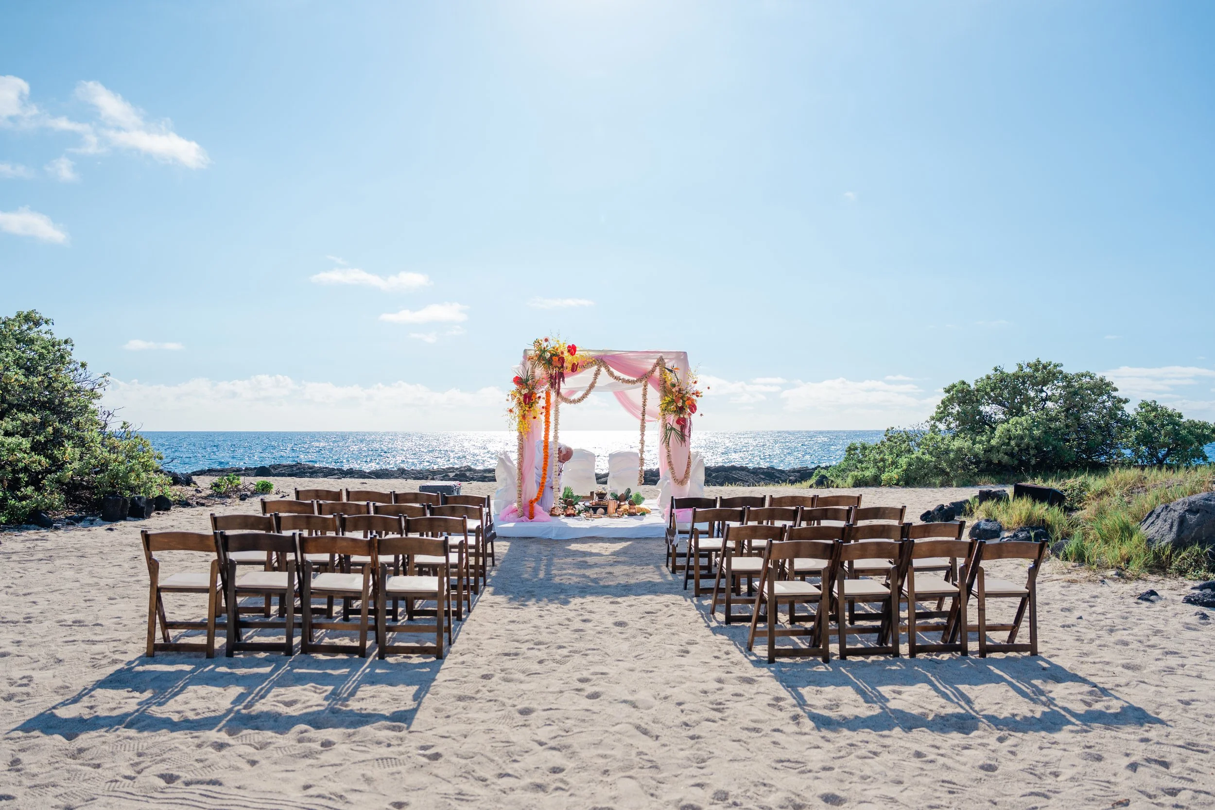 Shea&Anurag-92 copy.JPG