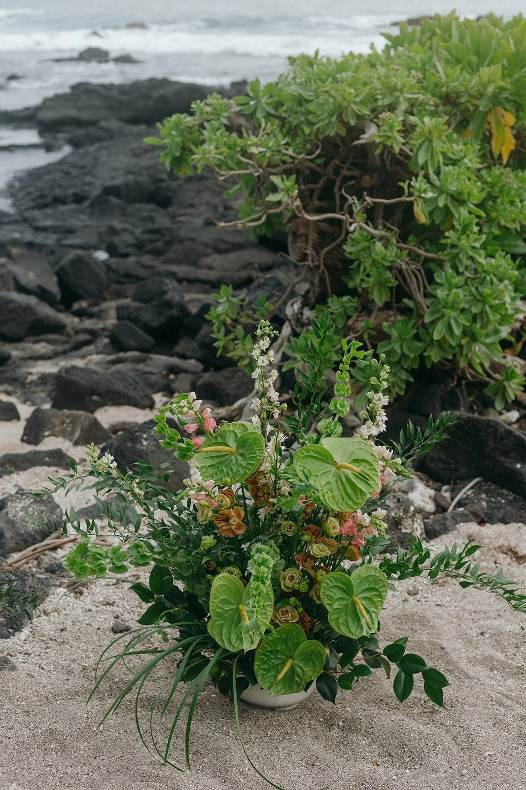 jaimedenisephoto-35.jpg