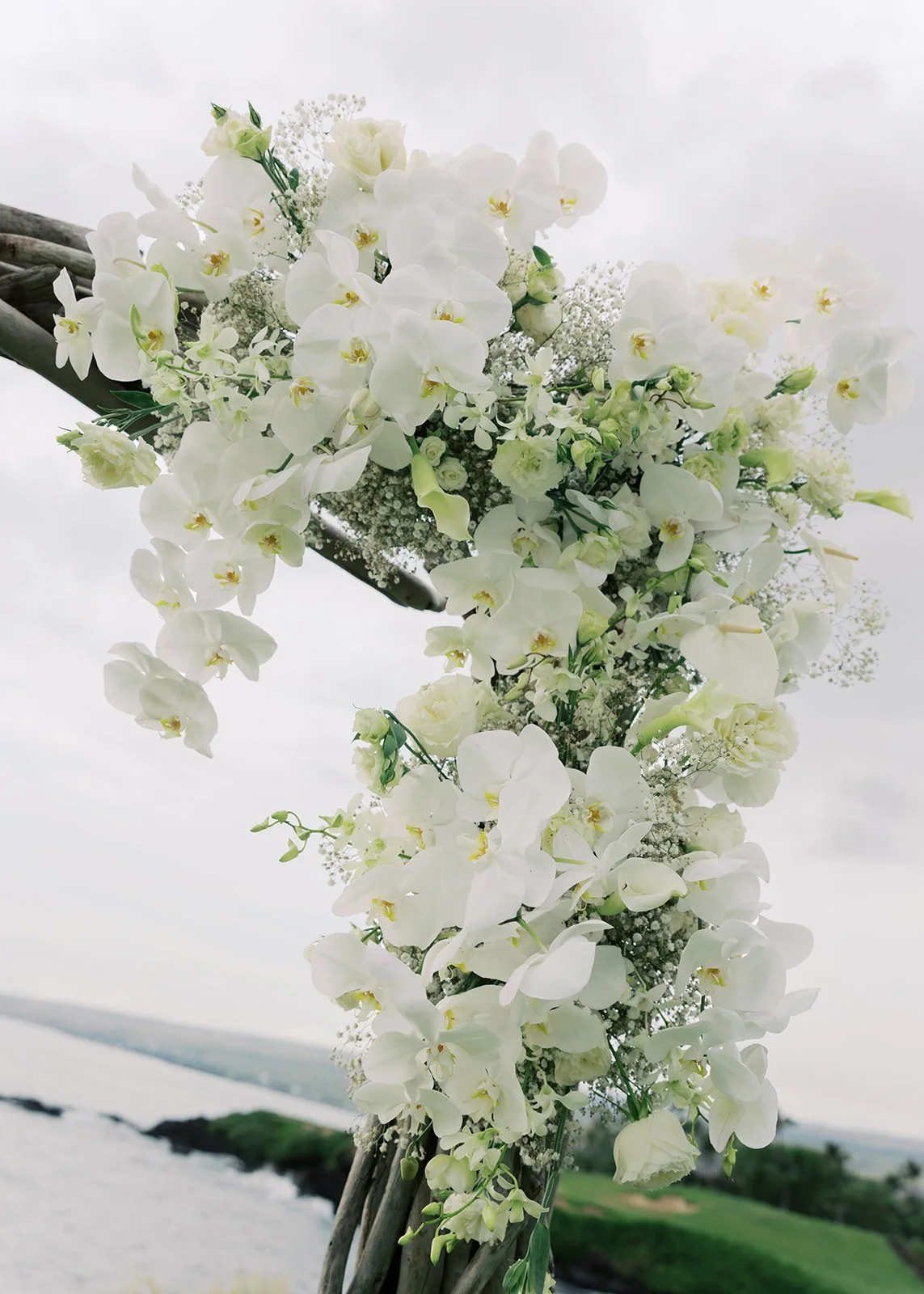 alexis-sam-big-island-wedding-185.jpg