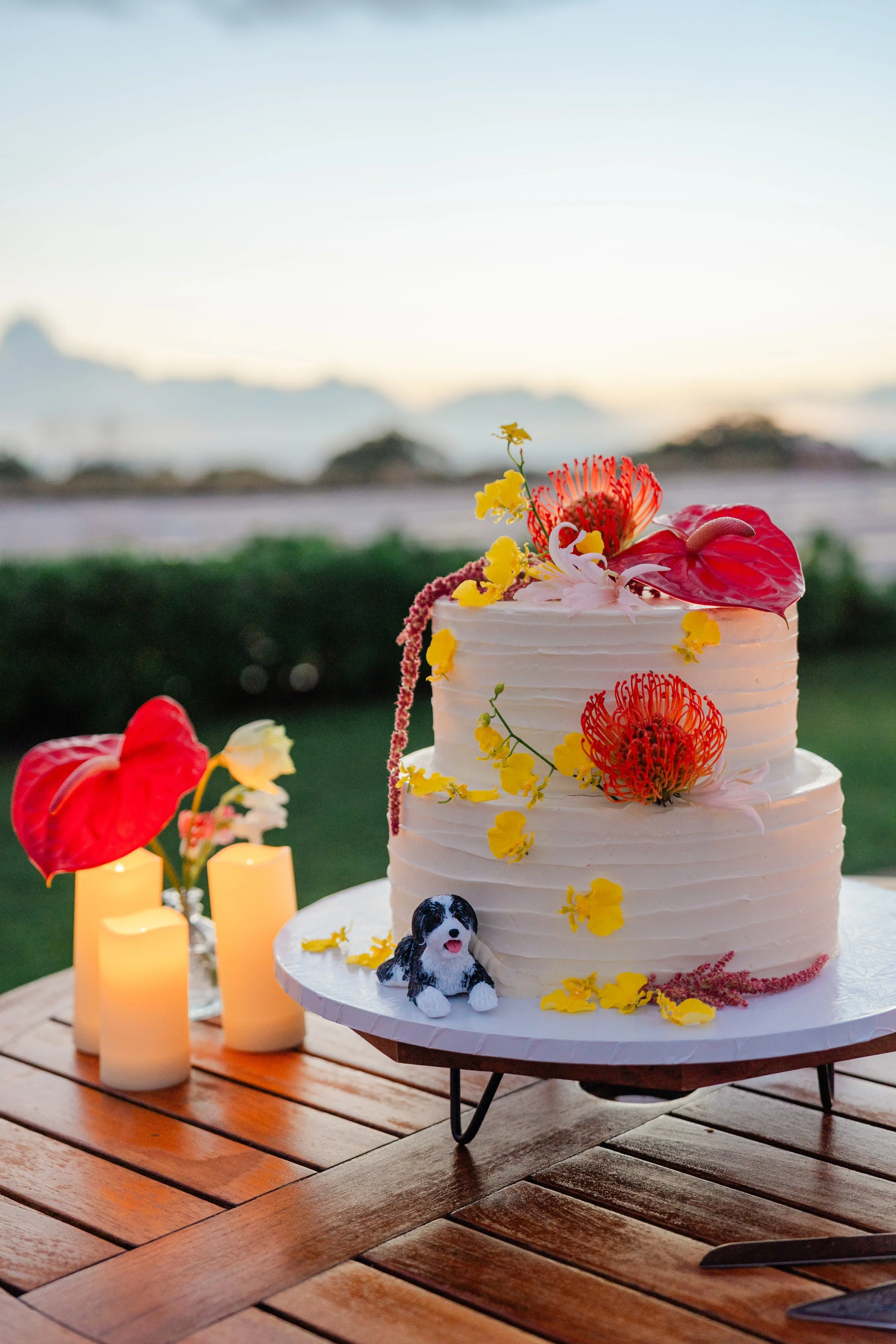 Shea&Anurag-371 copy.JPG