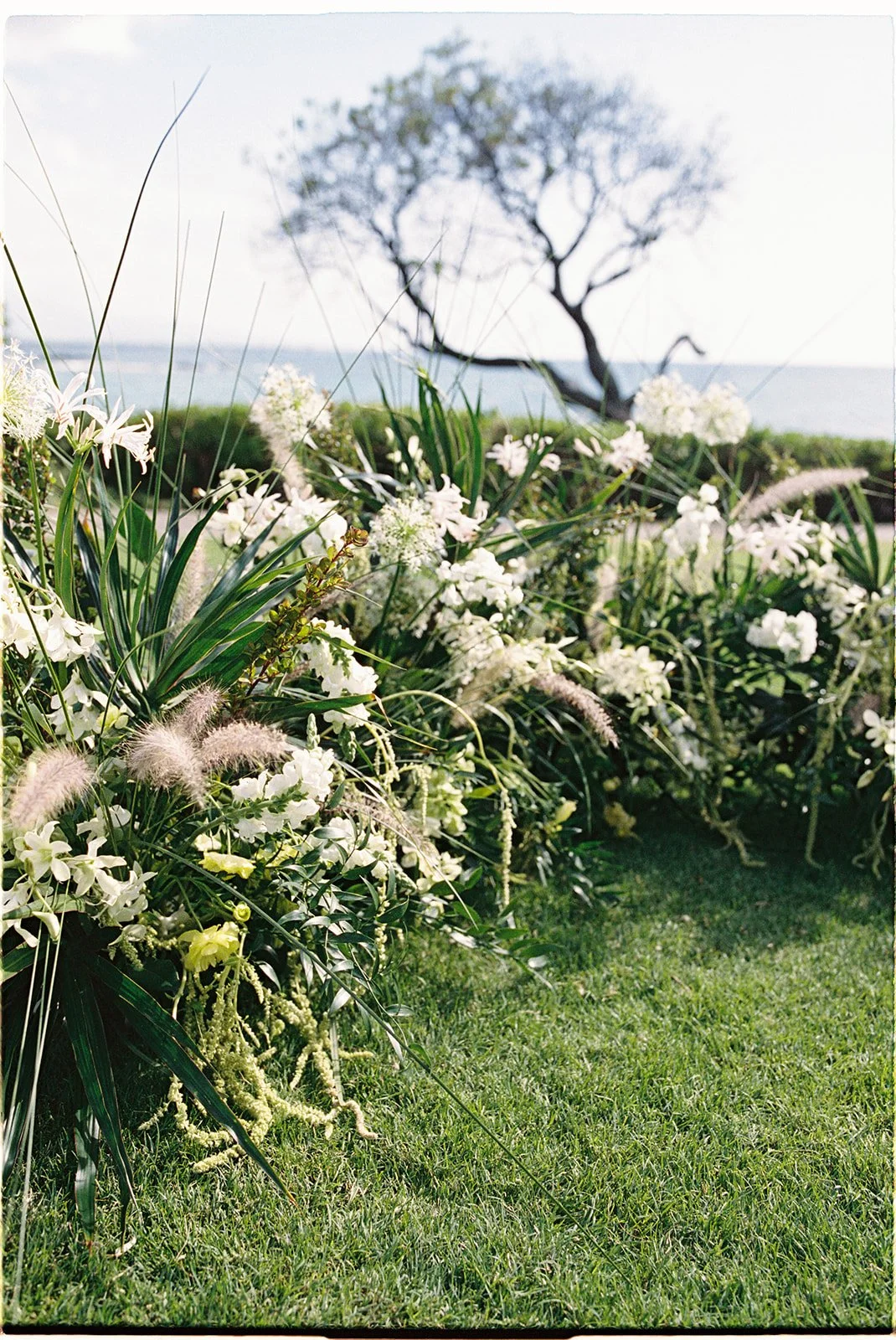 maggie.kelly.film.emilychoyphotography-132.jpg