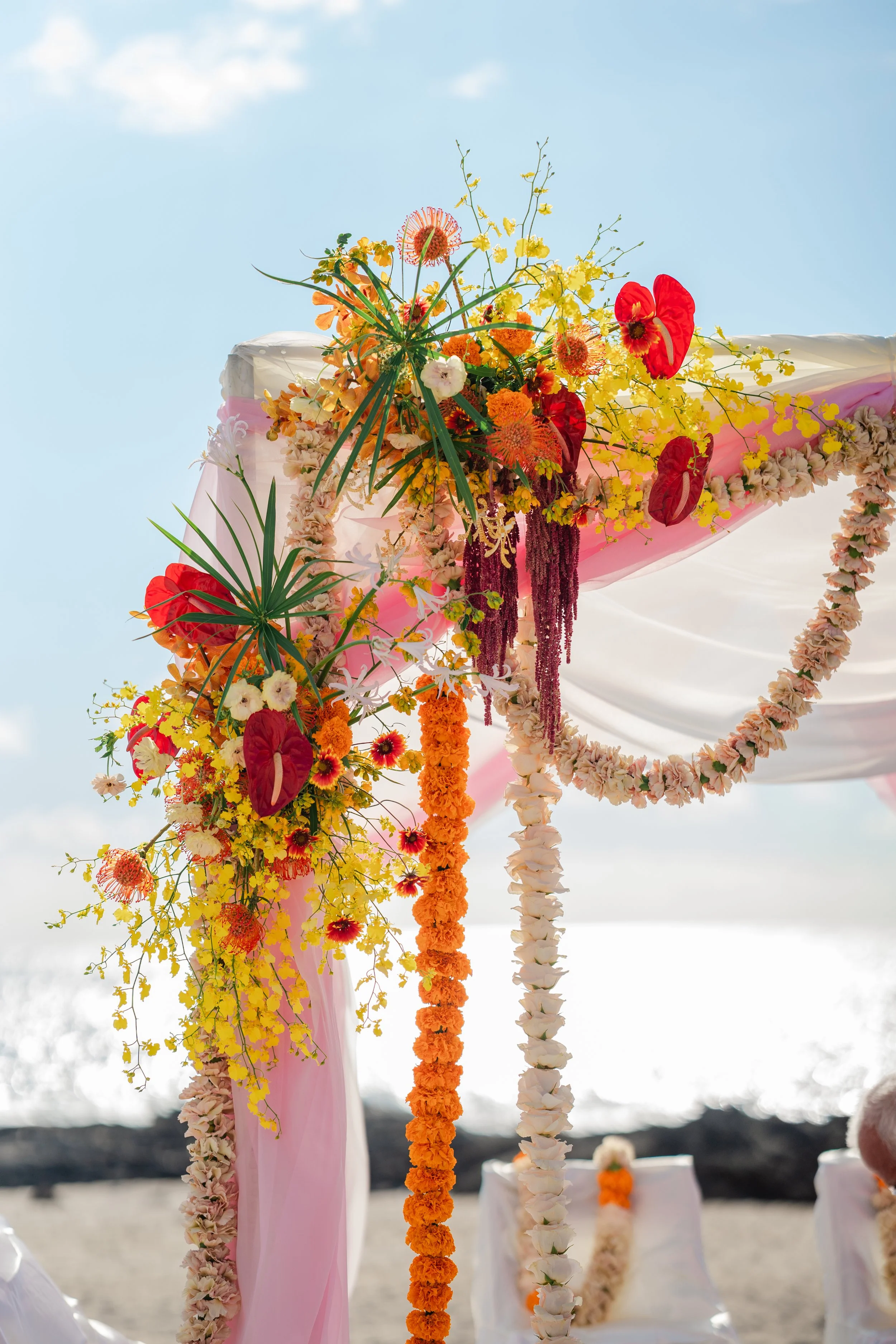 Shea&Anurag-94 copy.JPG