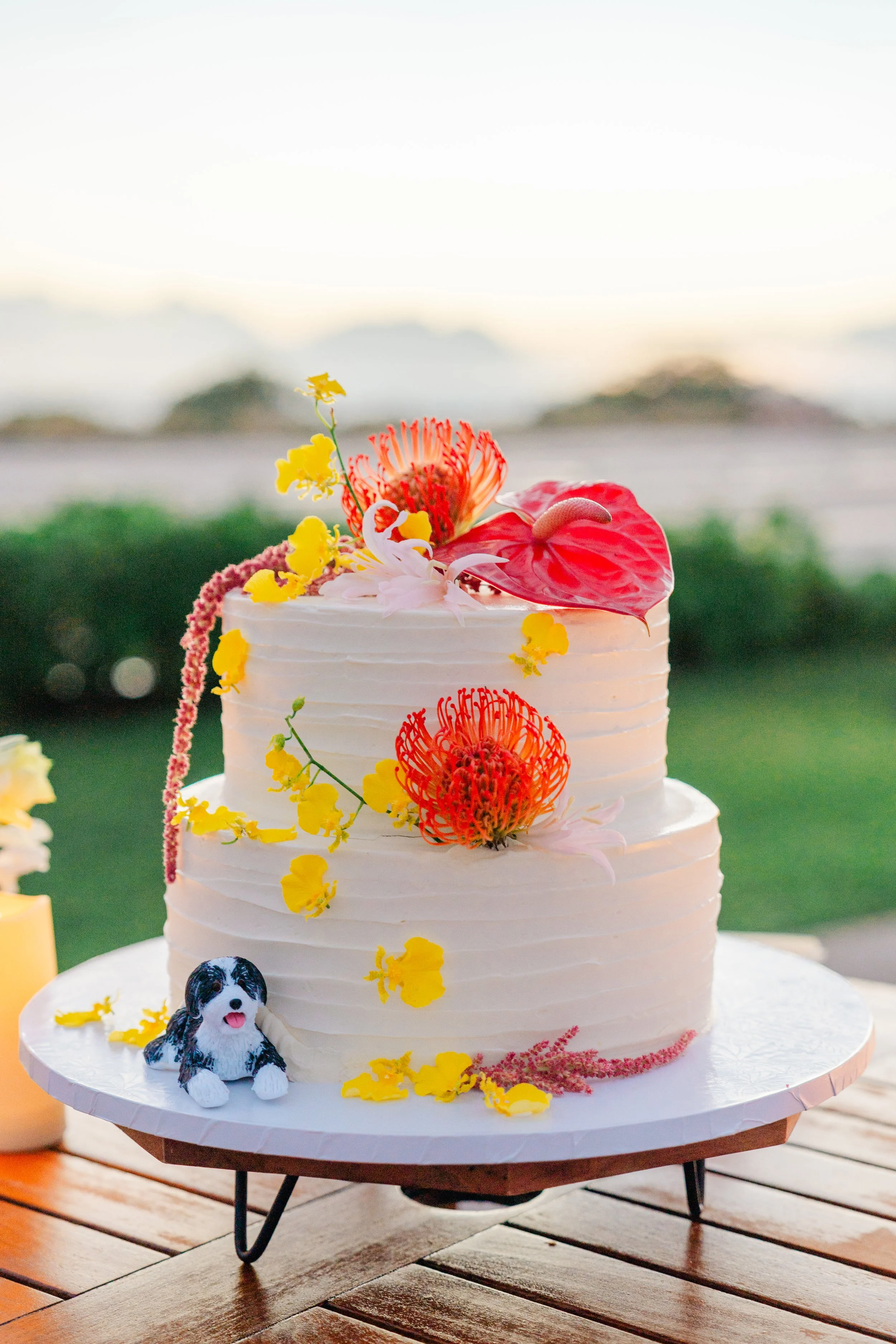 Shea&Anurag-370 copy.JPG