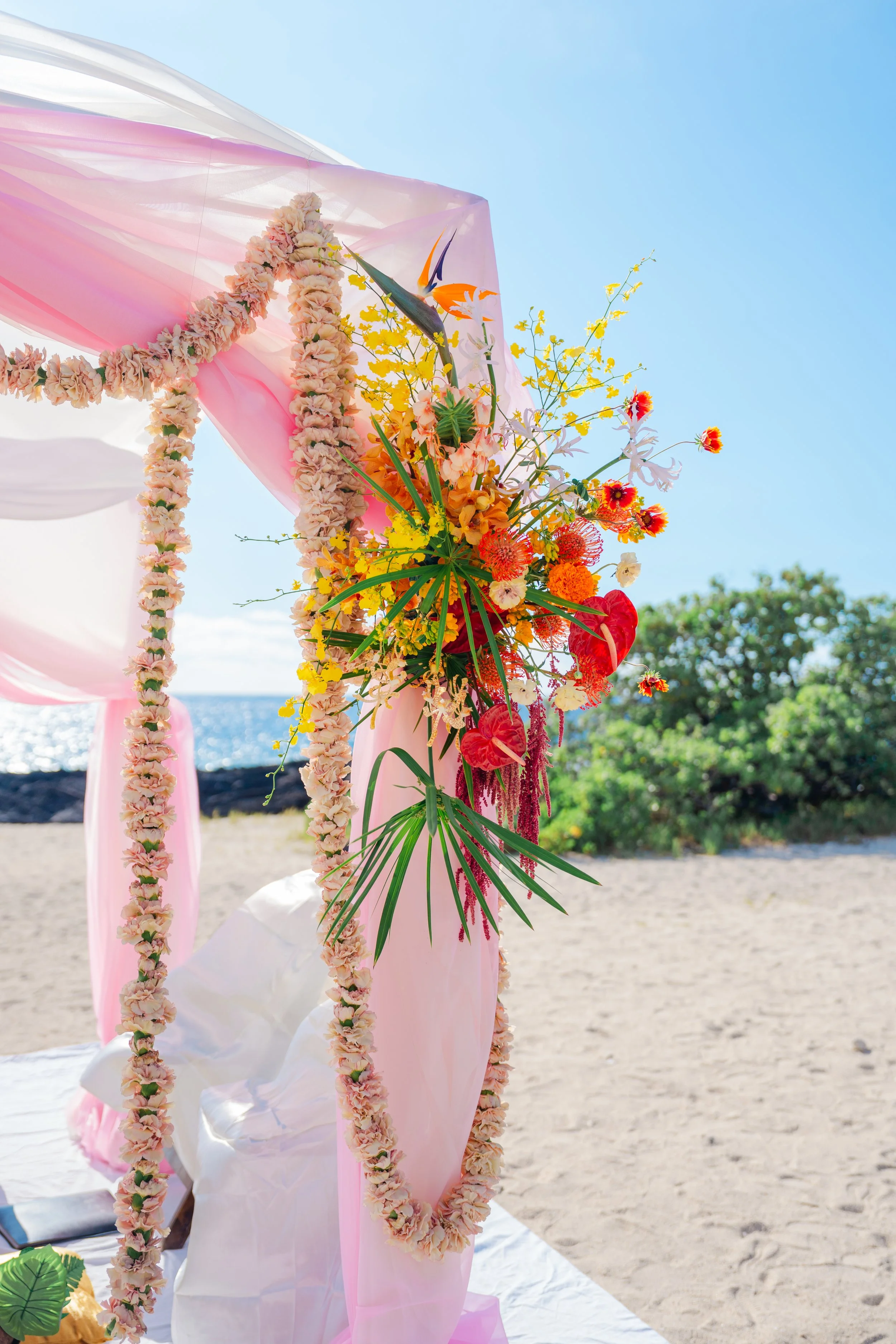 Shea&Anurag-88 copy.JPG