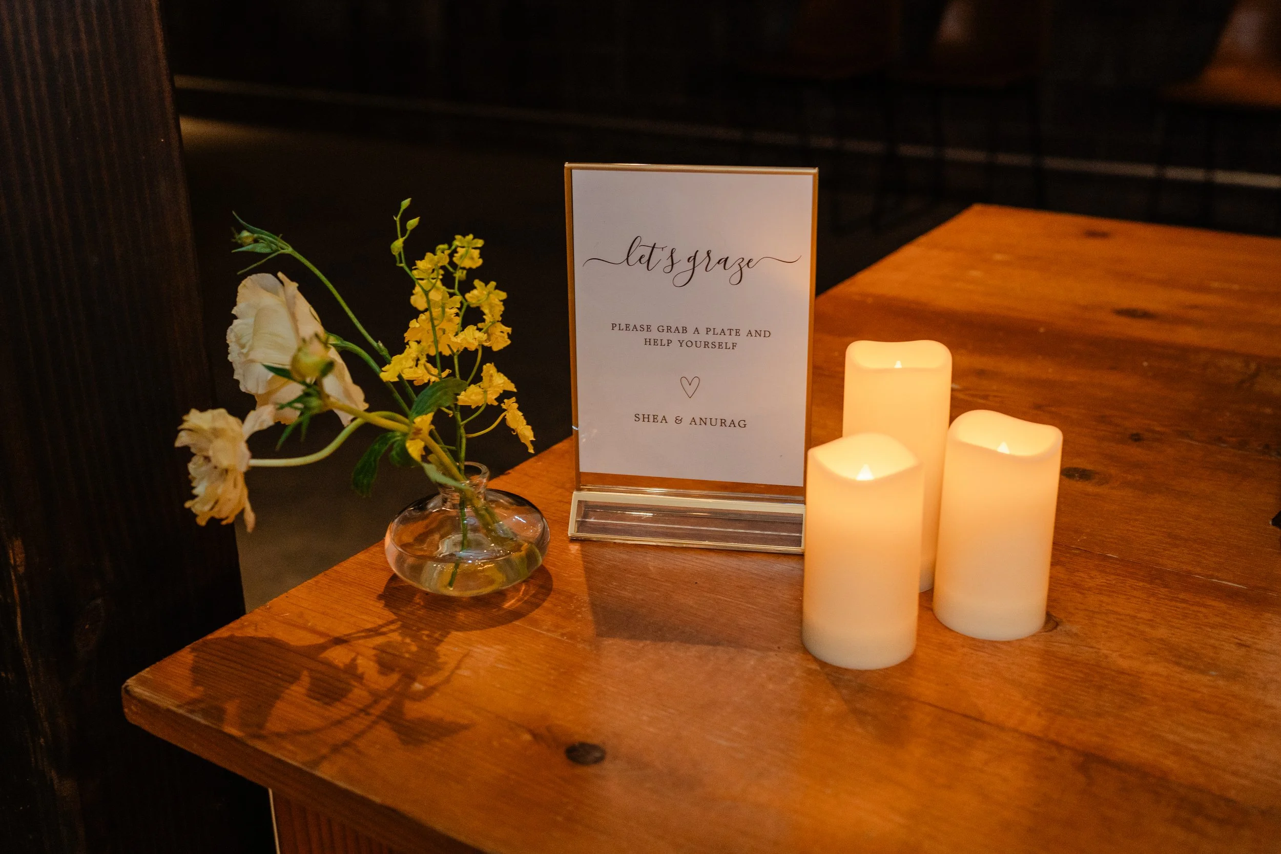 Shea&Anurag-500 copy.JPG