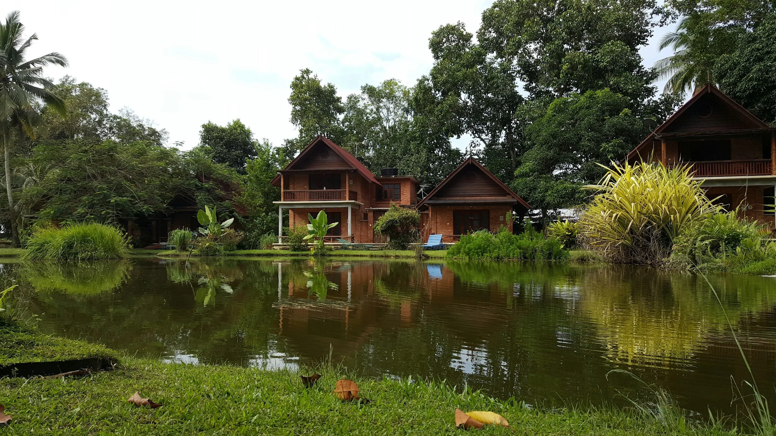 A picture of houses on the far side of a peaceful pond.