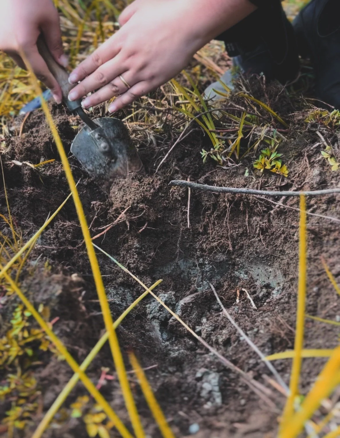 Eugene Wild Clay Intensive: Intro to foraging, clay chemistry, and local glaze materials