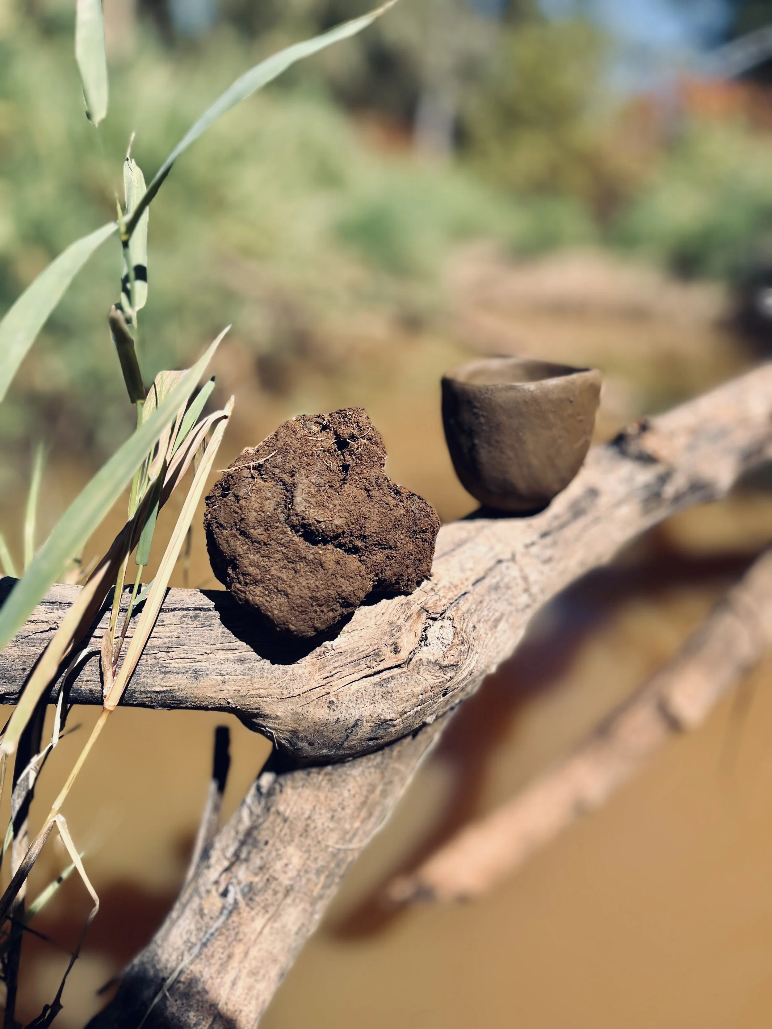 Portland Wild Clay Intensive: Intro to foraging, clay chemistry and local glaze materials