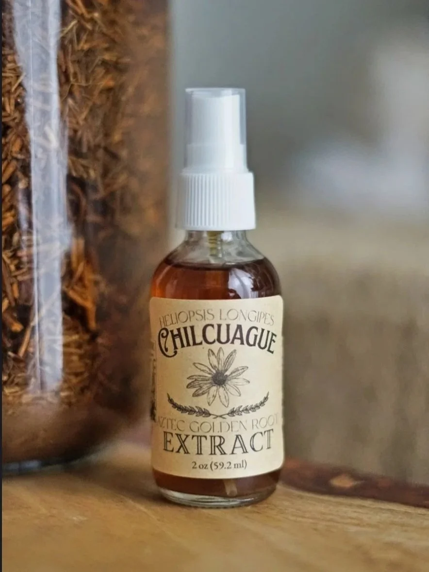 Chilcuague Extract 2oz | Aztec Golden Root (Heliopsis Longipes)