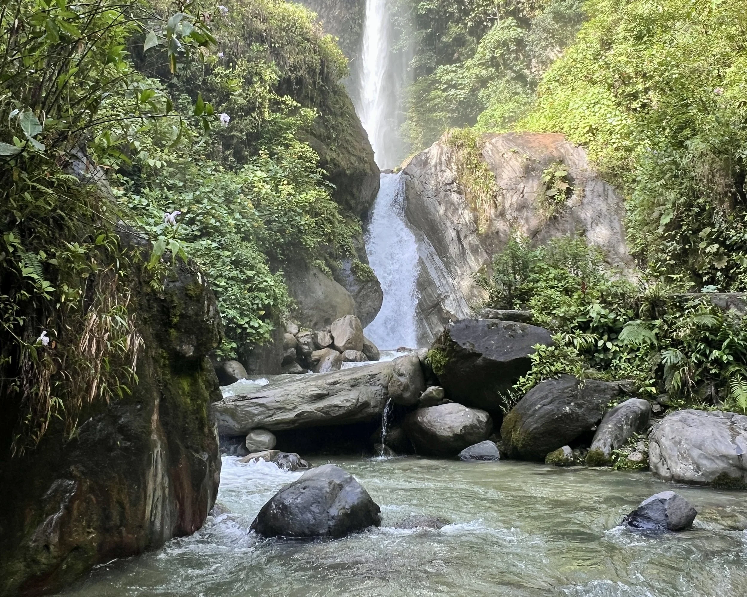 Reverence for Water