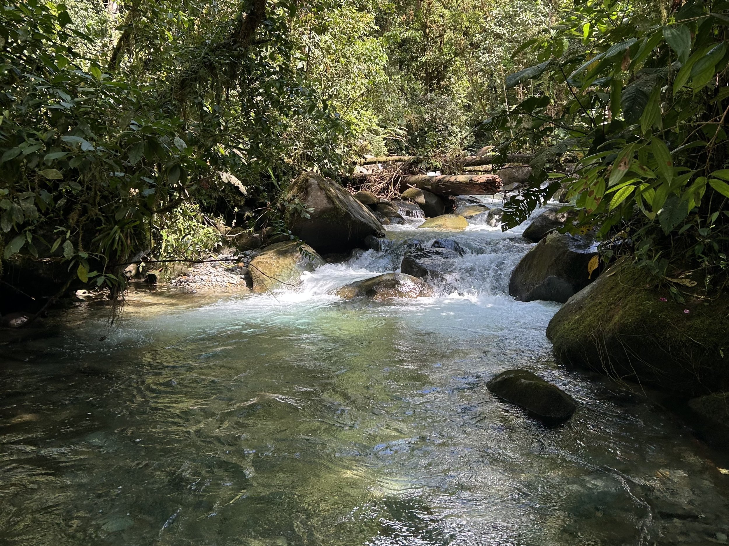 Resilient Watersheds