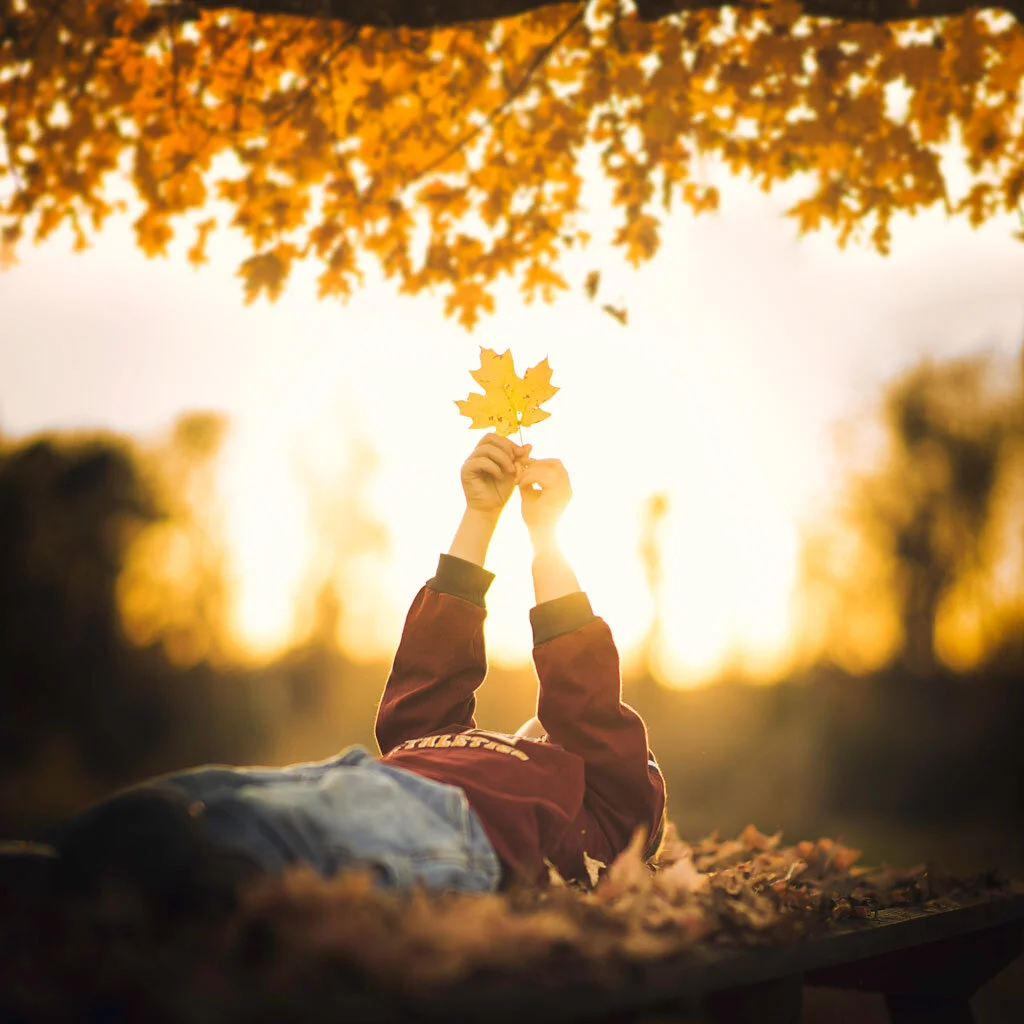 Don’t Look for Location, Look for Light