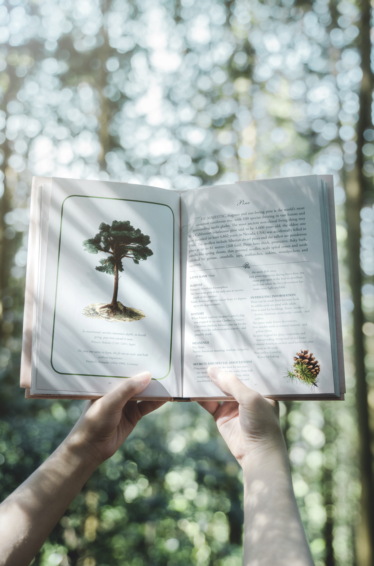 Screen Shot 2023-09-01 at 11.51.57.png