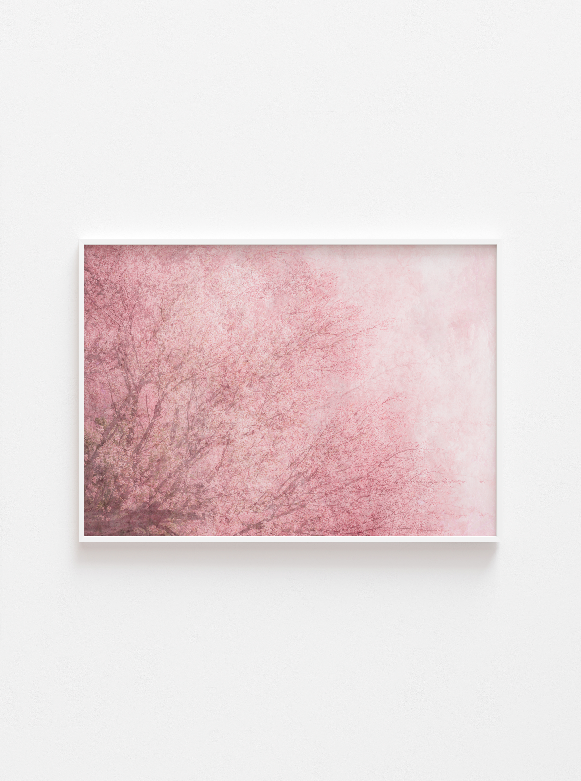 Kasumi (霞) - Spring Mist