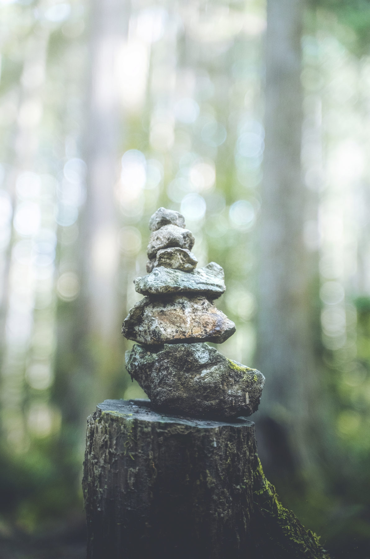 Screen Shot 2023-09-21 at 15.55.53.png