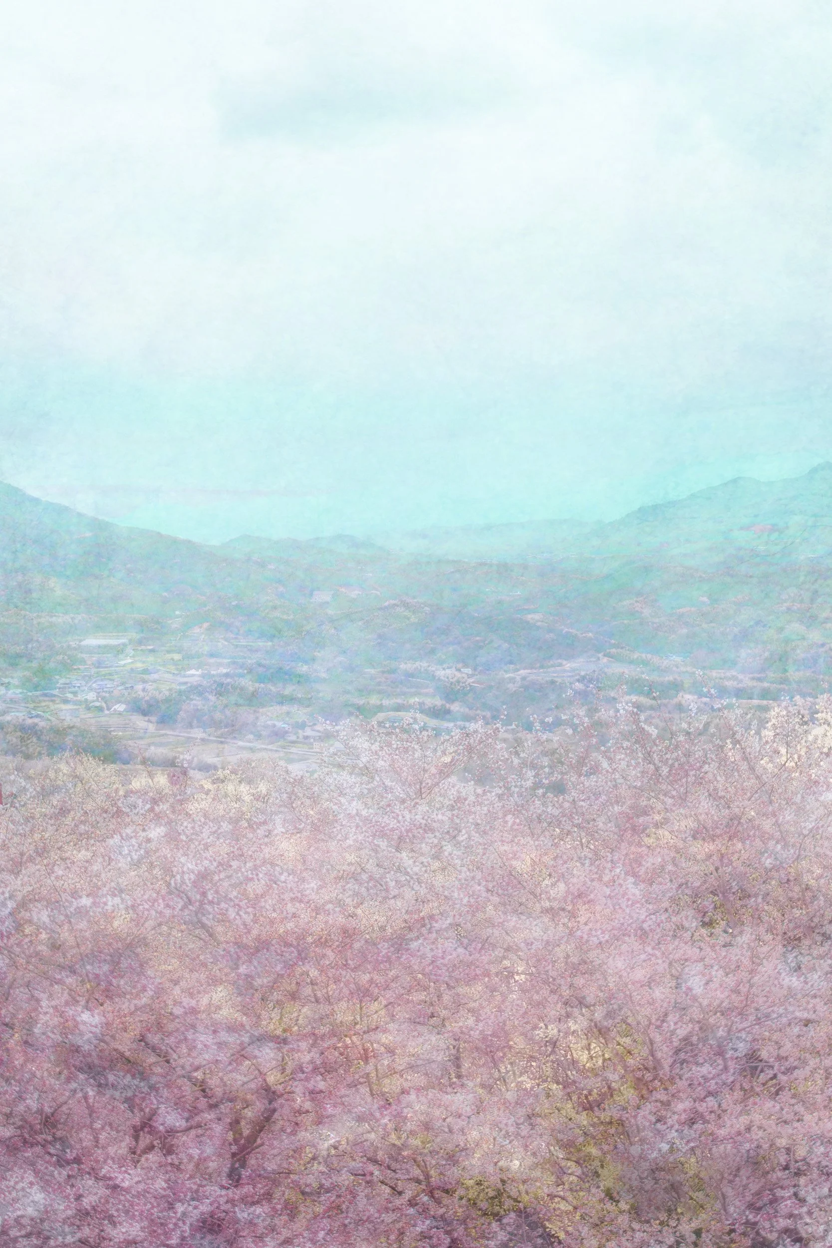 Megumi (恵) - Blessing of Spring’s Arrival