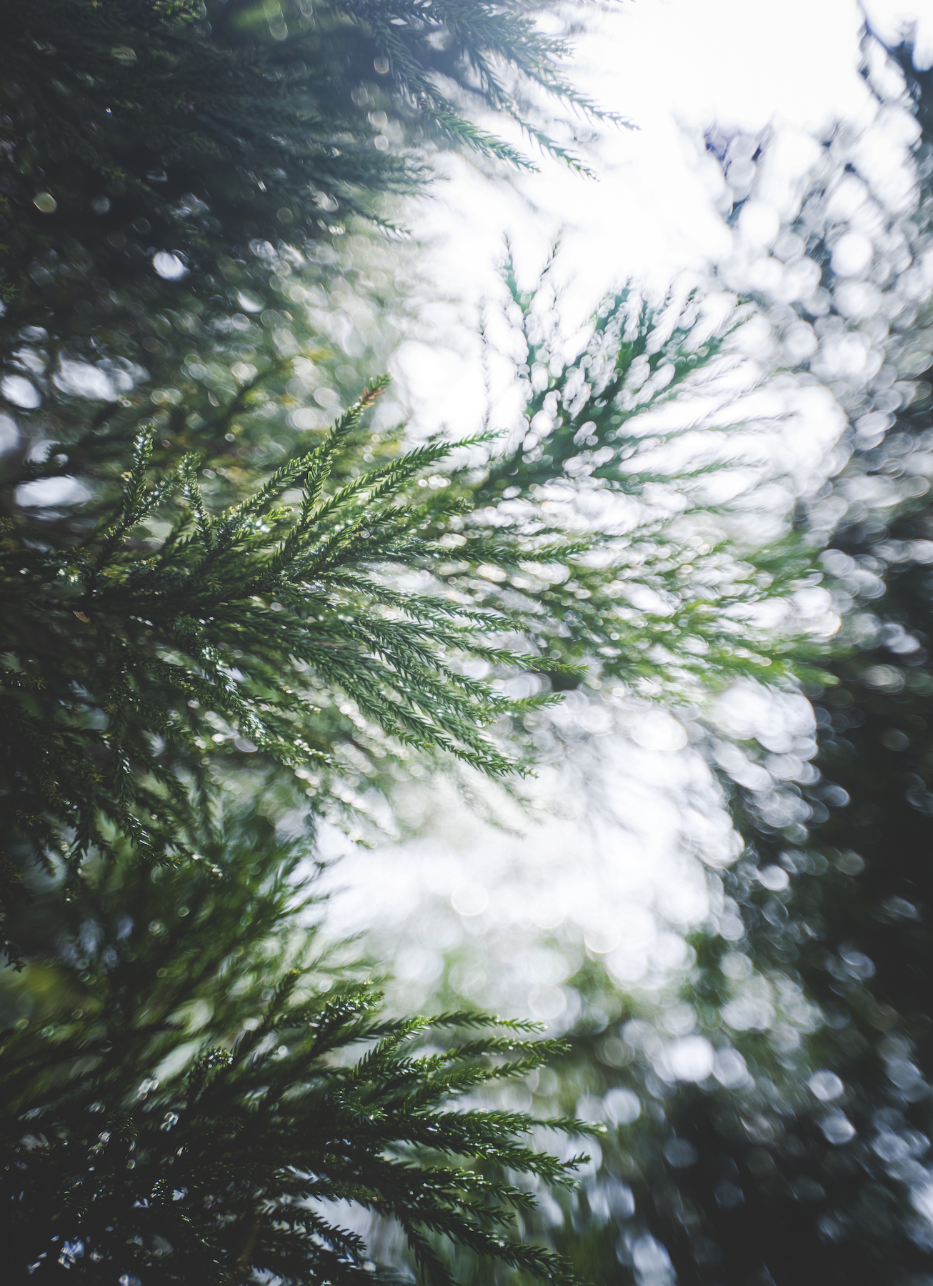 Screen Shot 2023-09-01 at 11.51.27.png