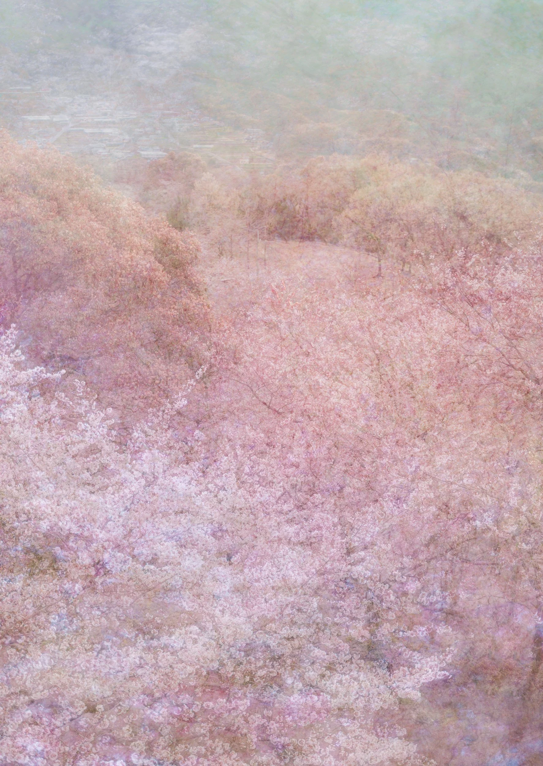 Mai (舞) - Dance of Falling Petals