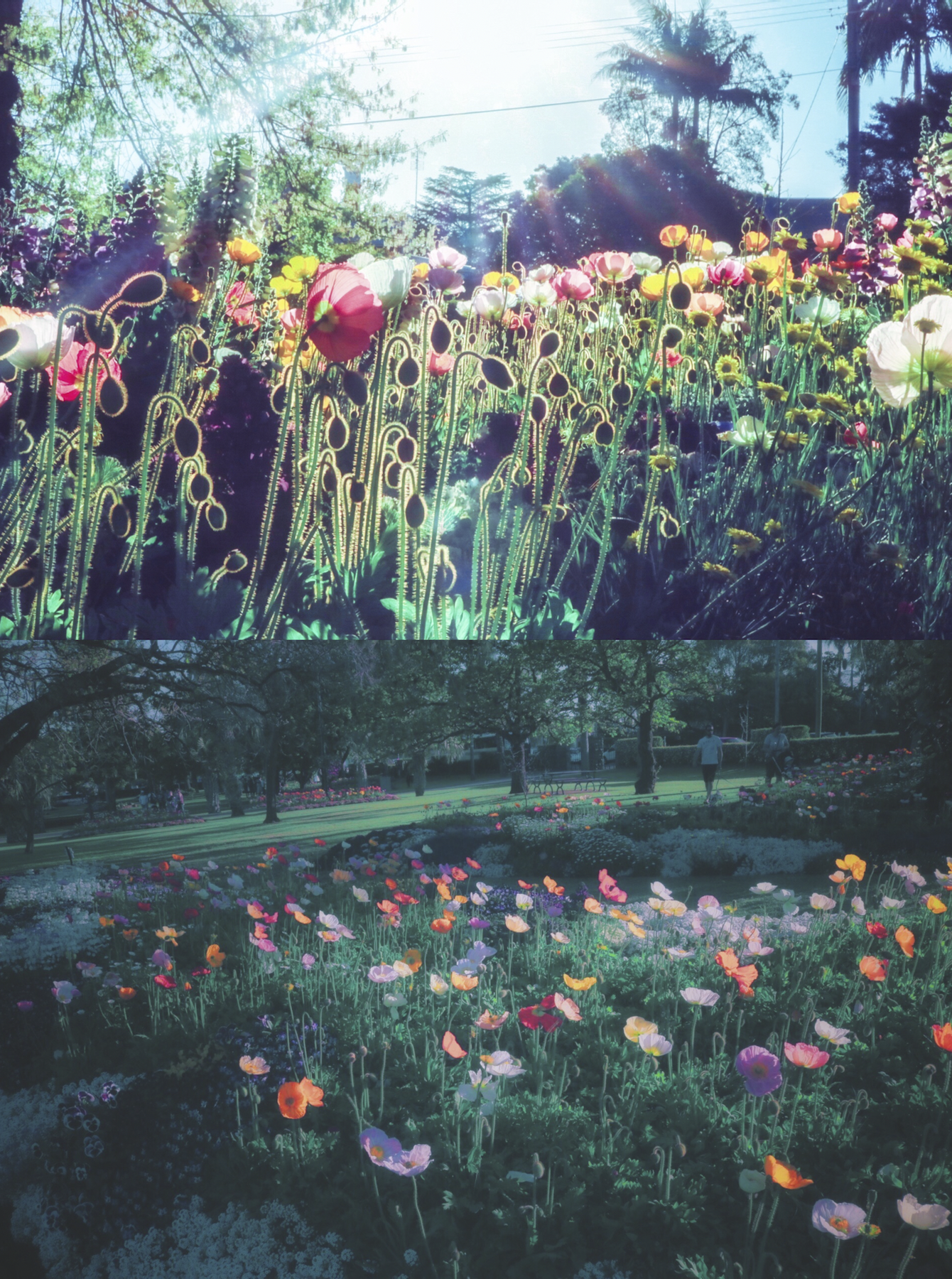 Screen Shot 2023-09-21 at 15.33.01.png