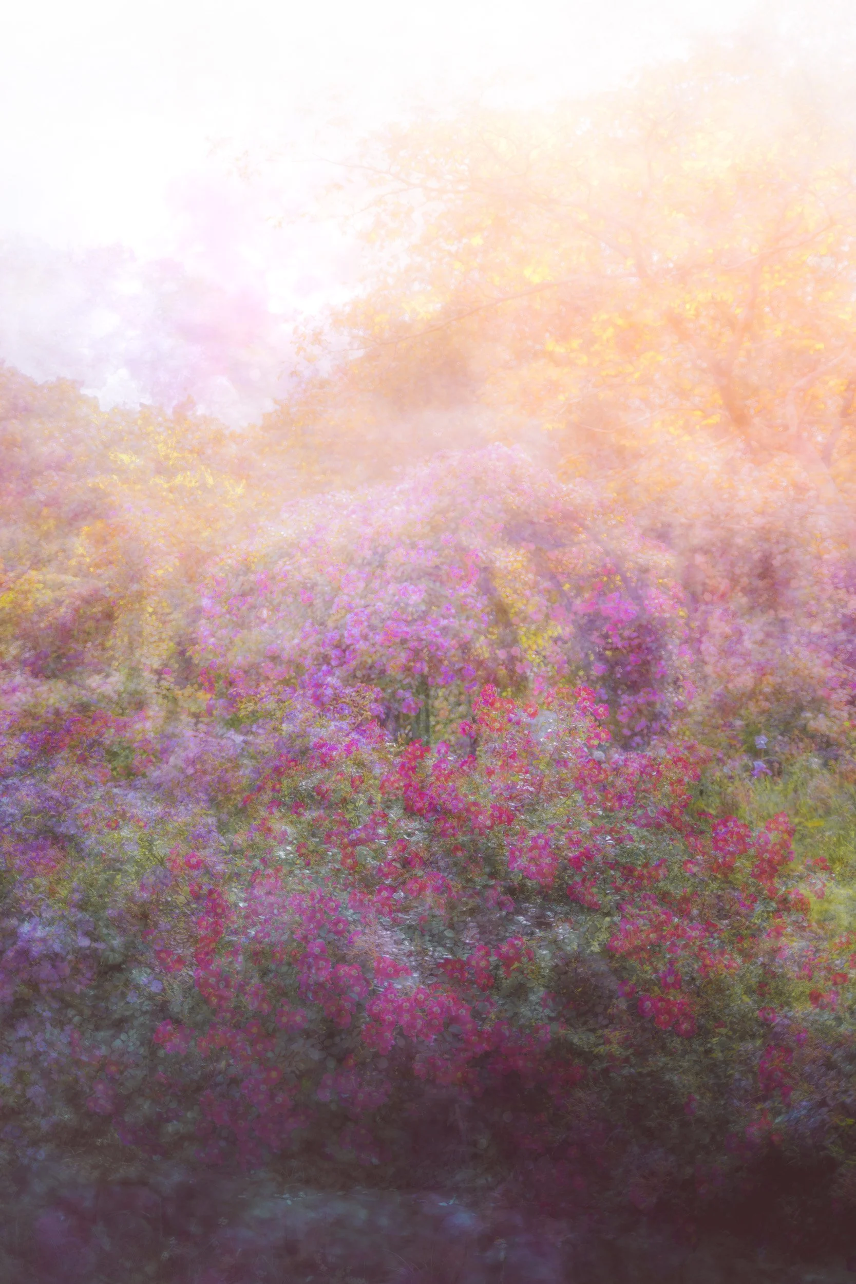 Sugardell Lullaby