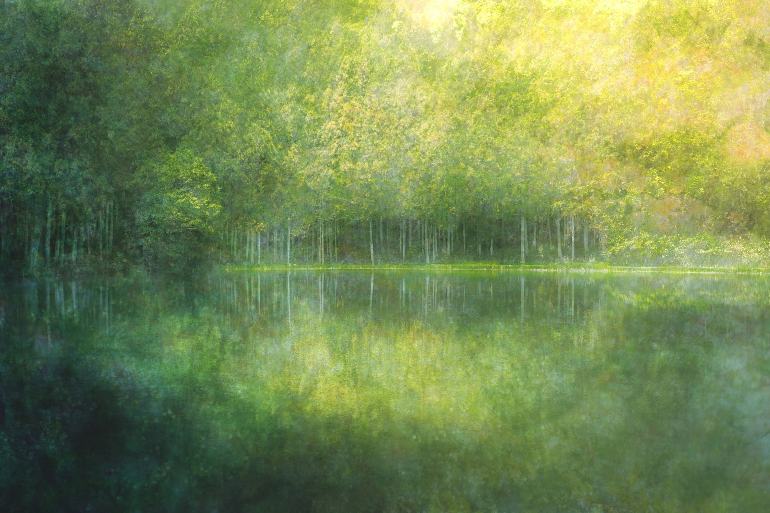 Glimmer Glades
