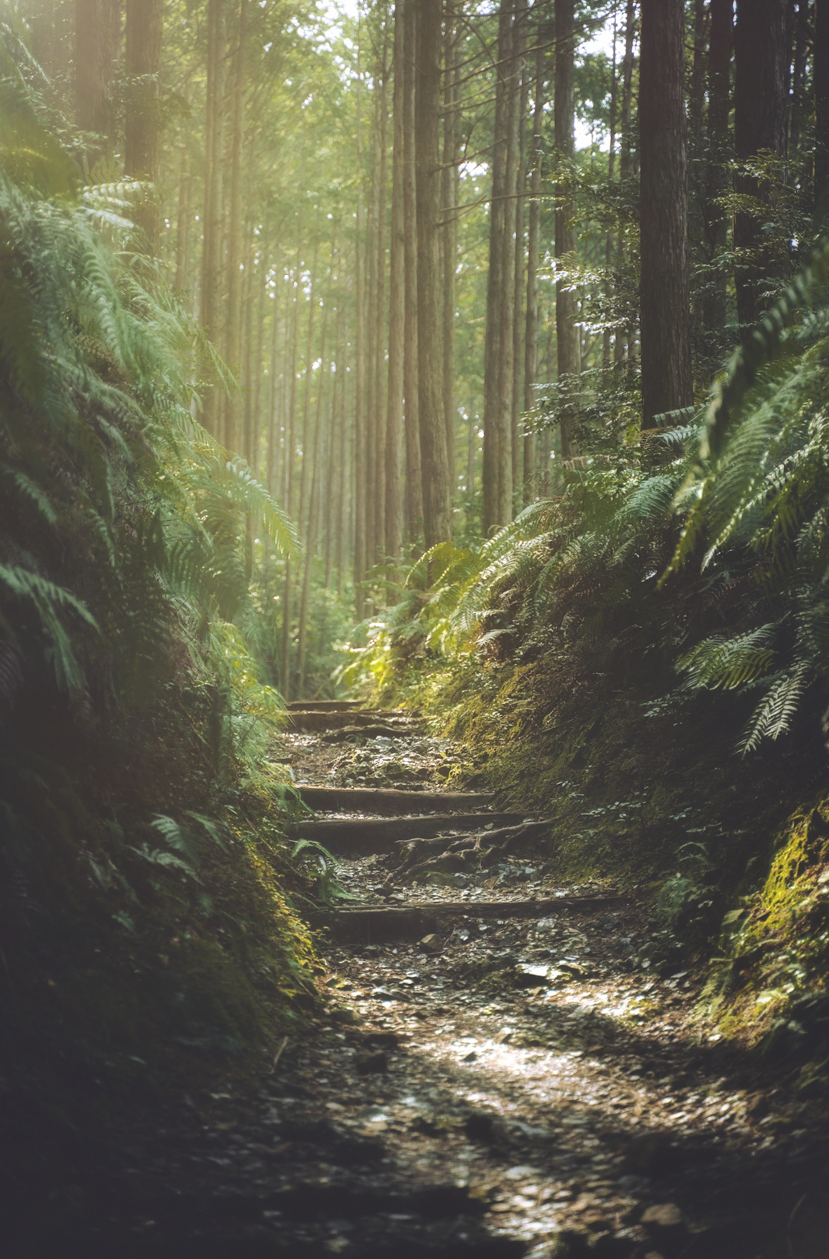 Screen Shot 2023-09-01 at 12.43.00.png