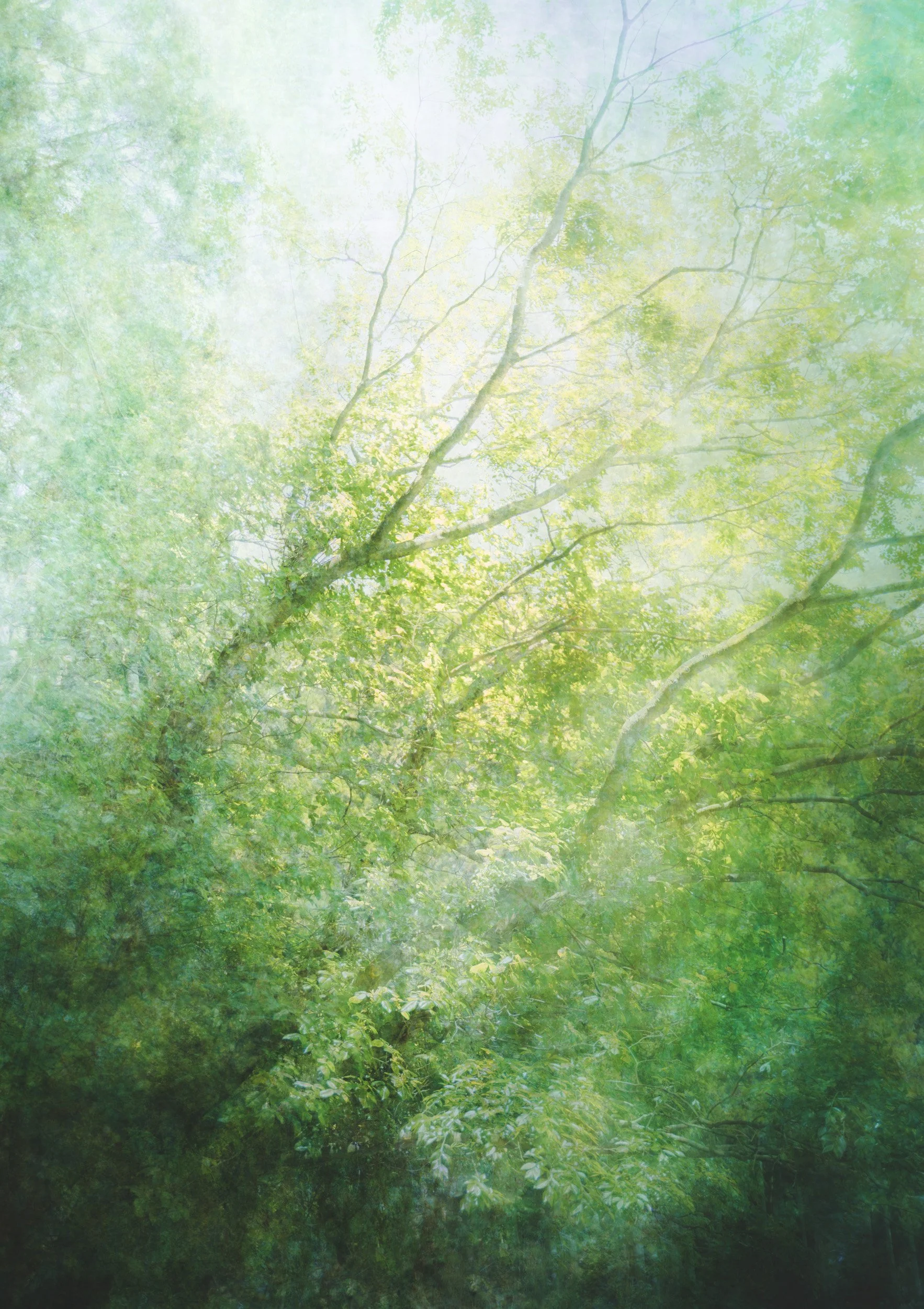 Verdant Veil