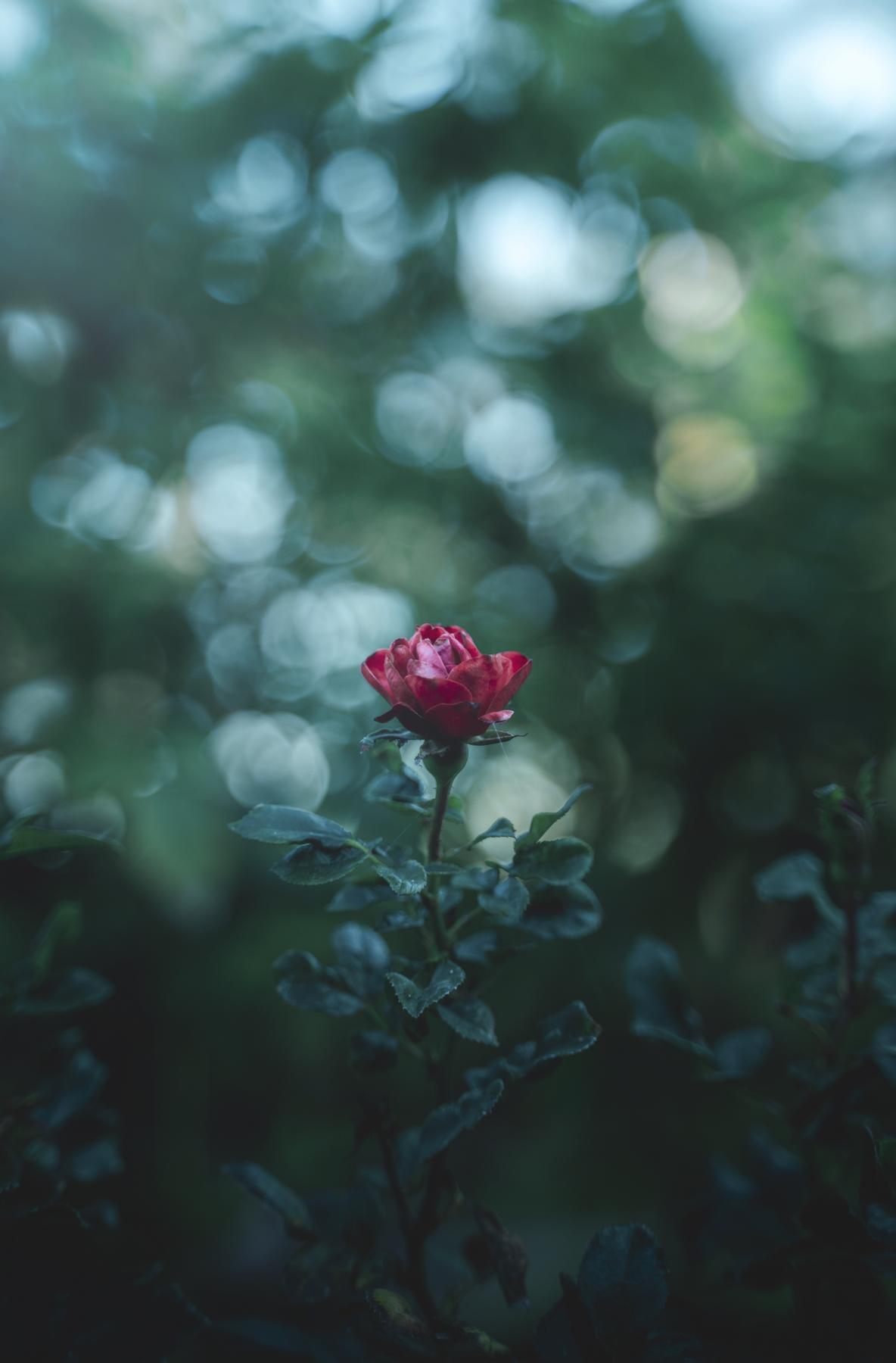 Screen Shot 2023-08-27 at 15.36.20.png