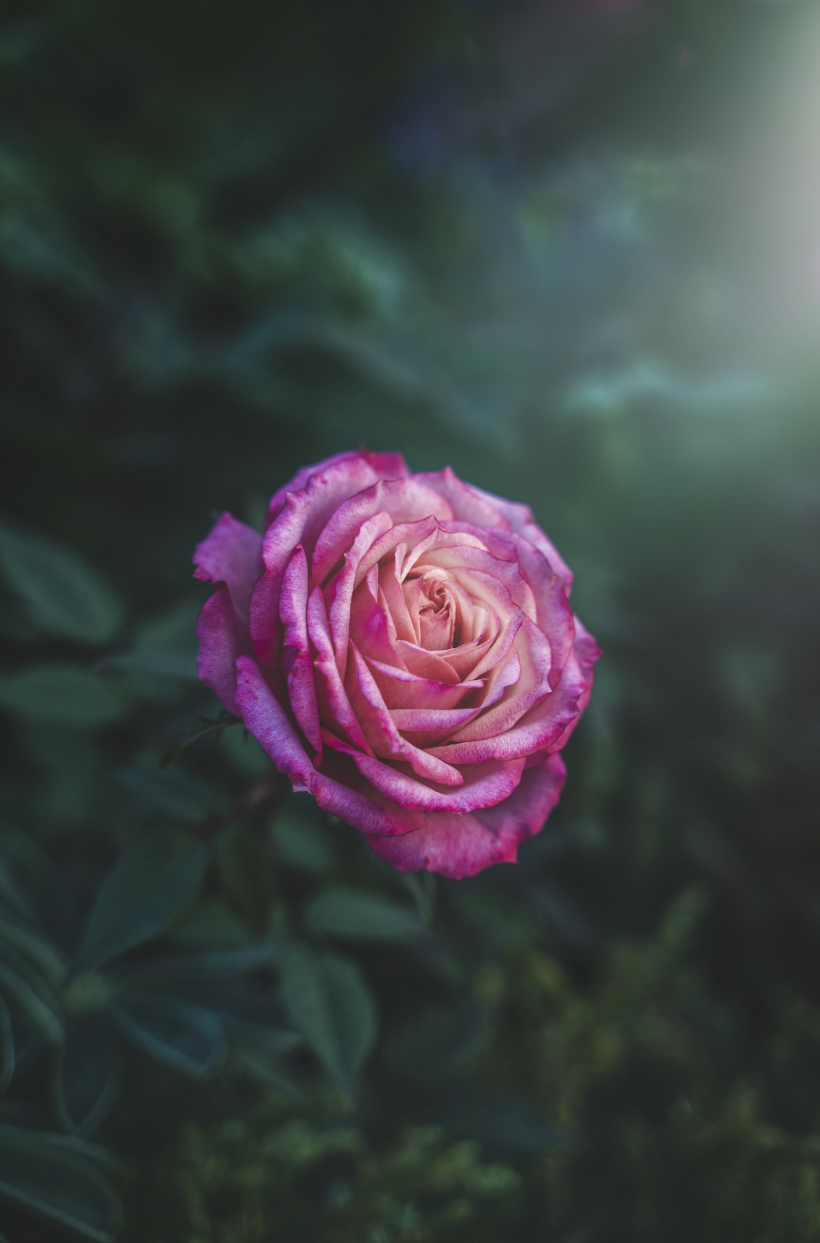 Screen Shot 2023-09-21 at 15.47.47.png