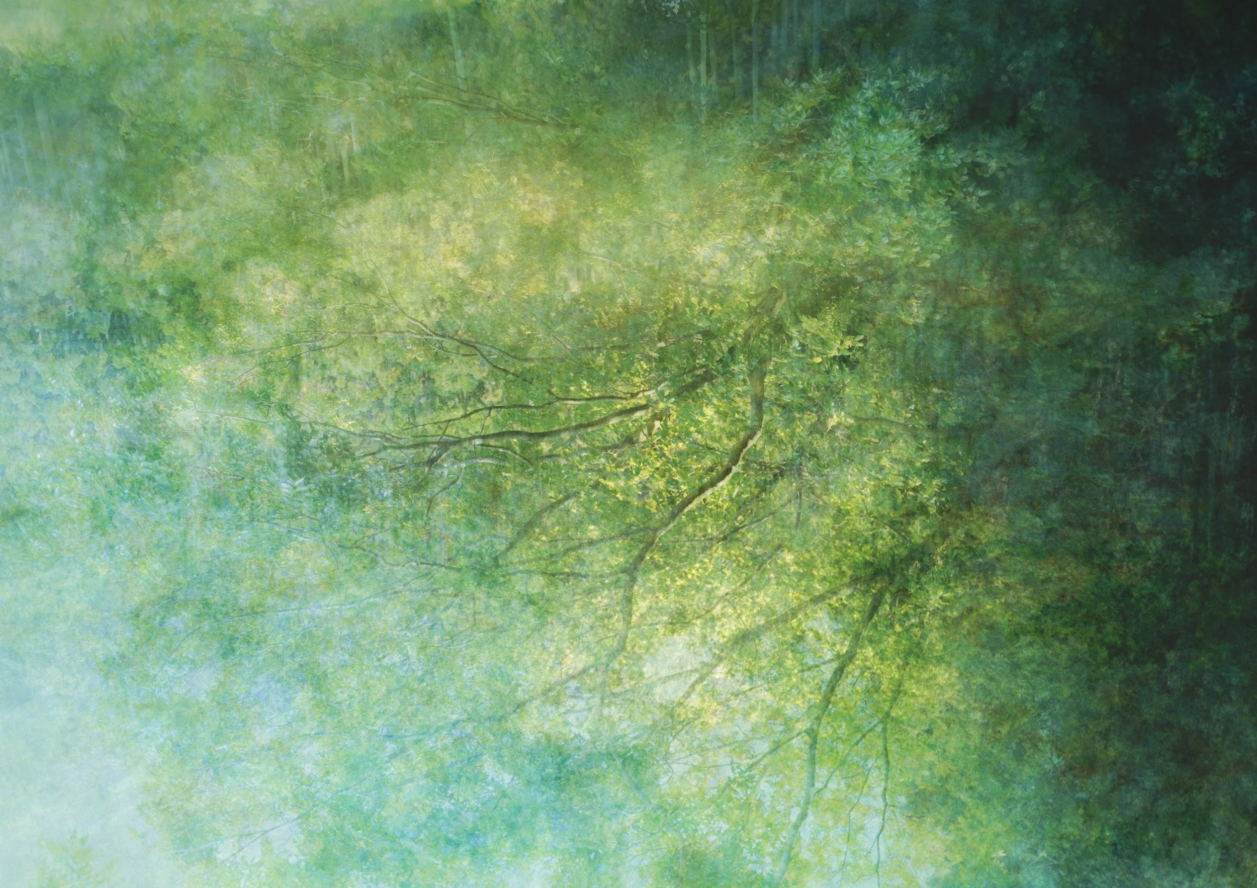 Lucent Veil