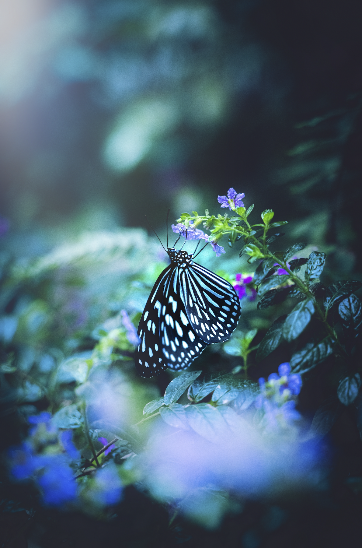 Screen Shot 2023-08-27 at 15.33.49.png