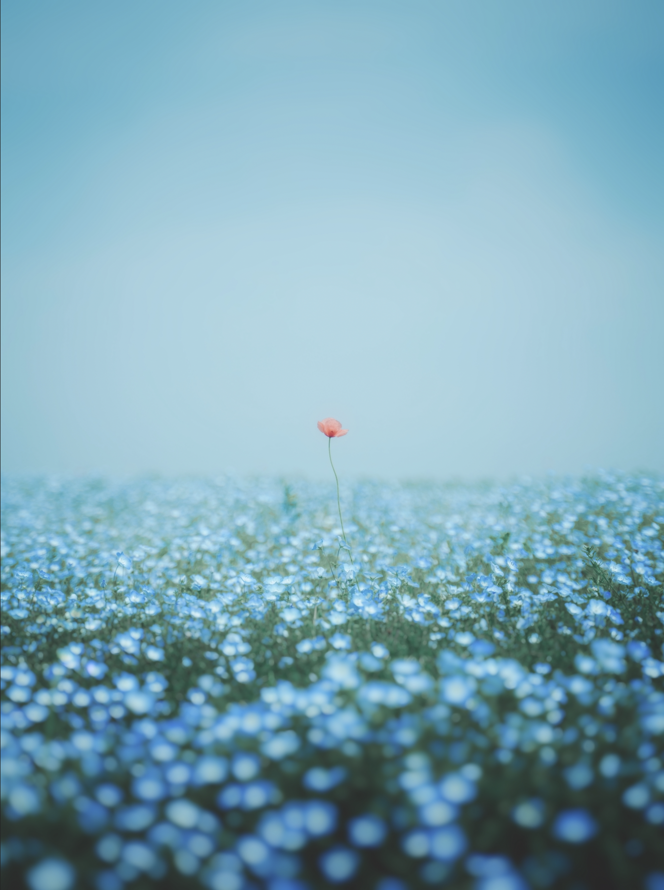 Screen Shot 2023-08-27 at 15.35.22.png