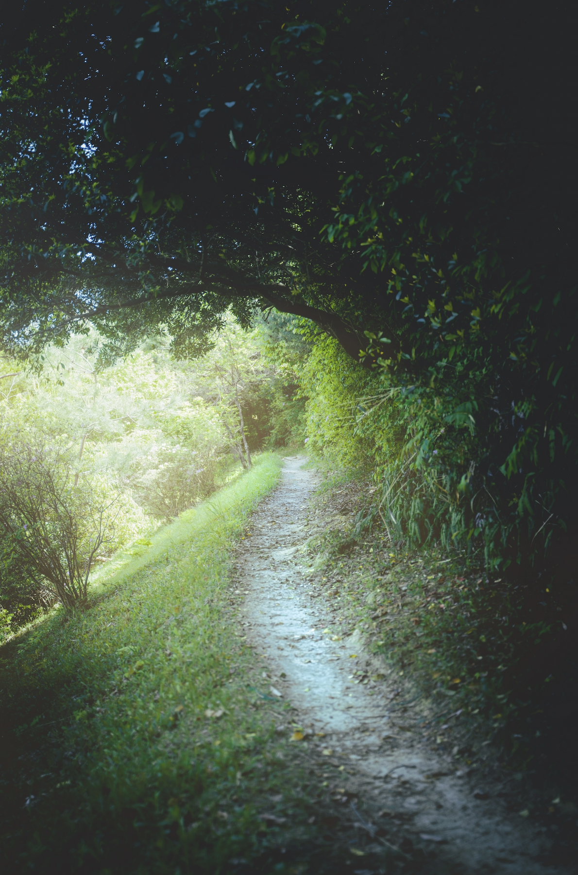 Screen Shot 2023-09-01 at 12.43.12.png