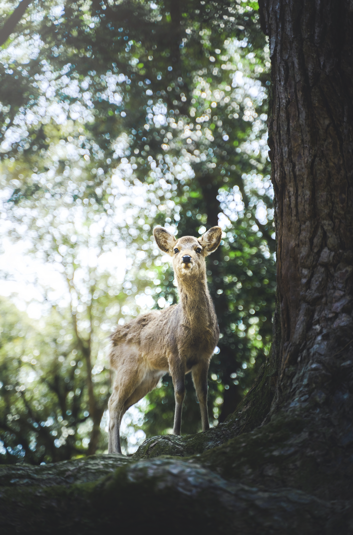 Screen Shot 2023-09-01 at 11.51.42.png