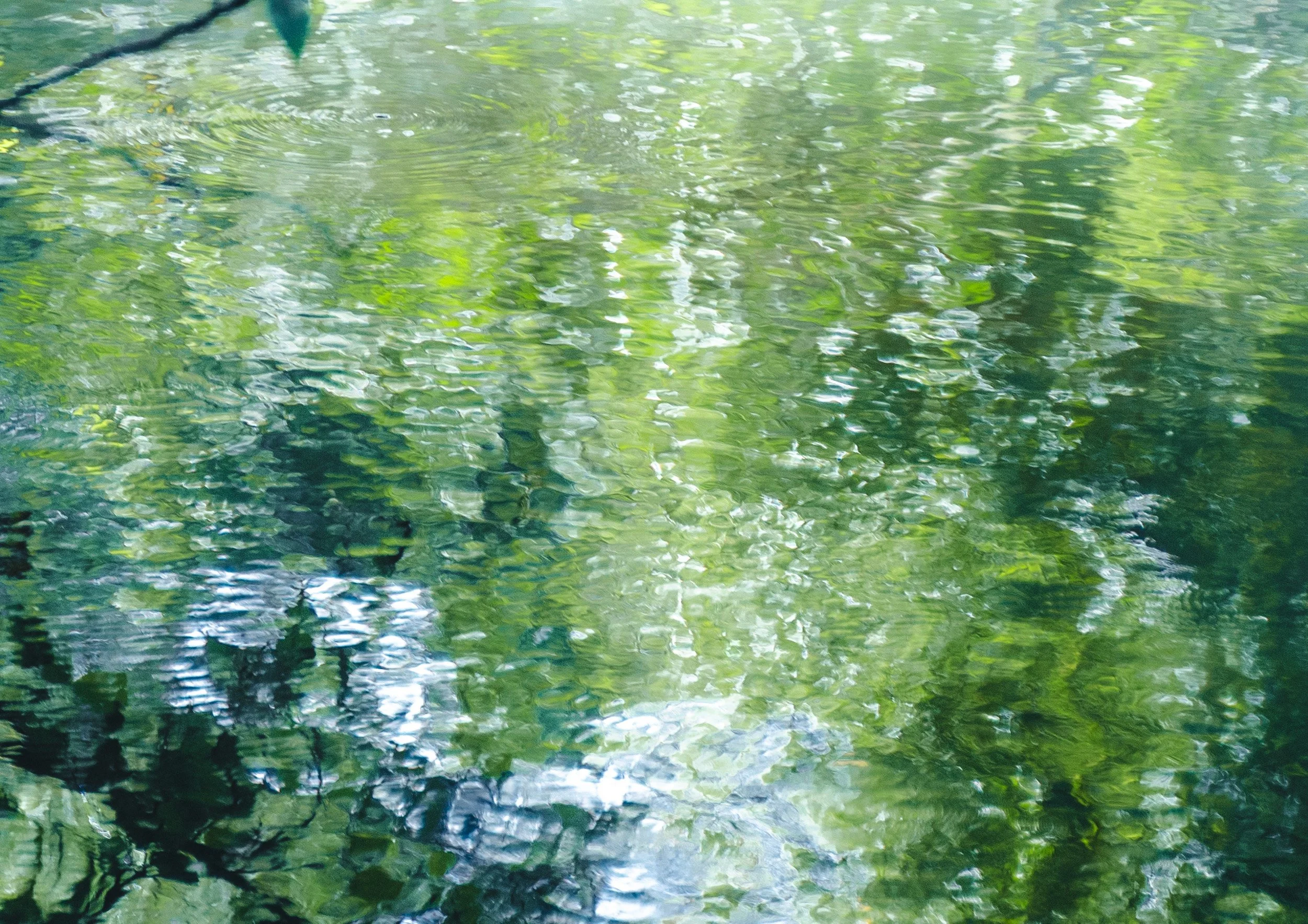 Emerald Jelly